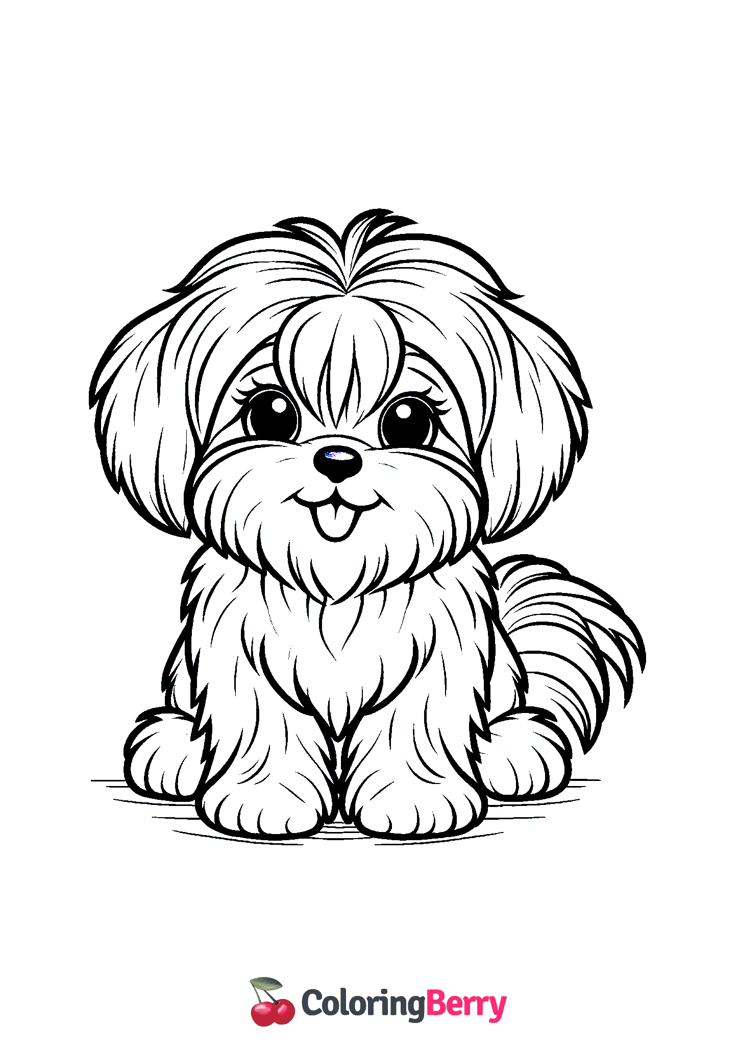 Maltese Dog