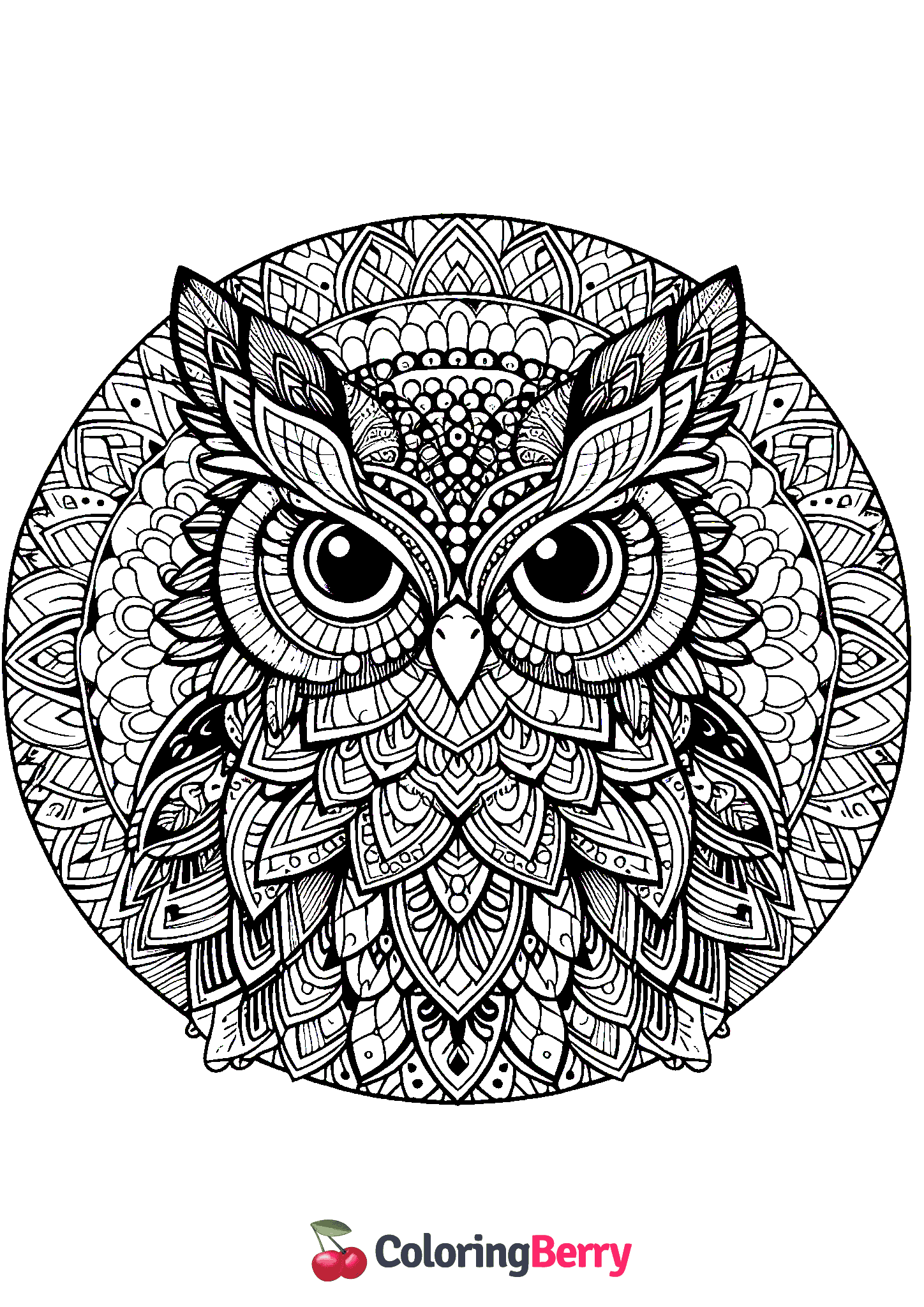 Mandala Owl