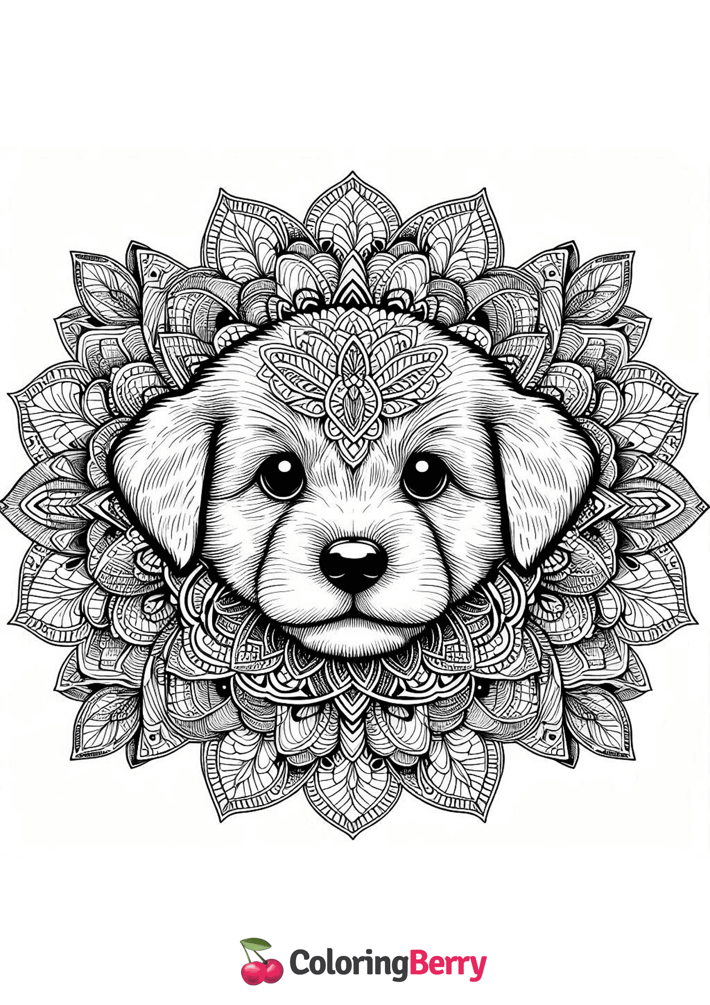 Mandala Puppy
