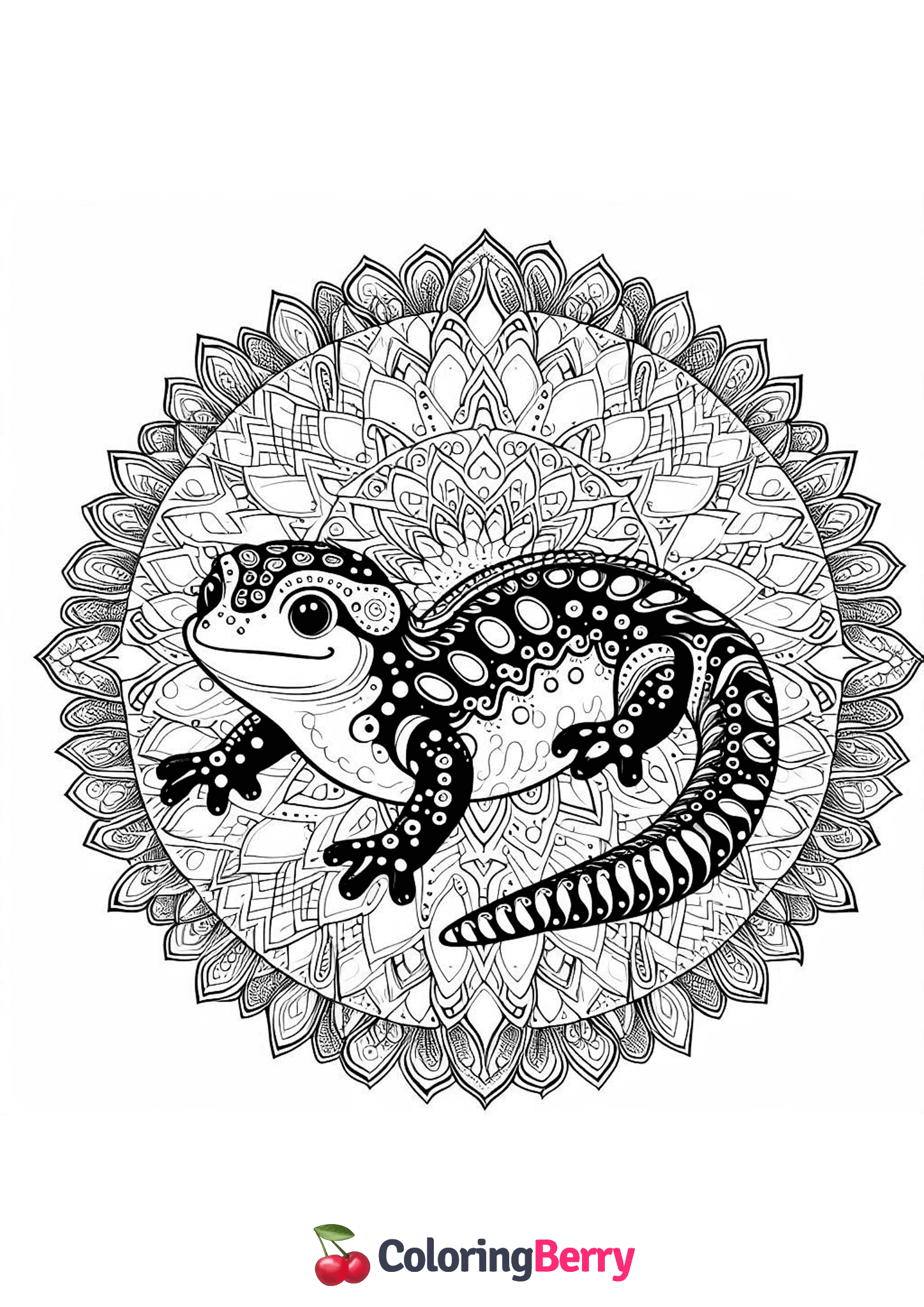 Mandala Salamander