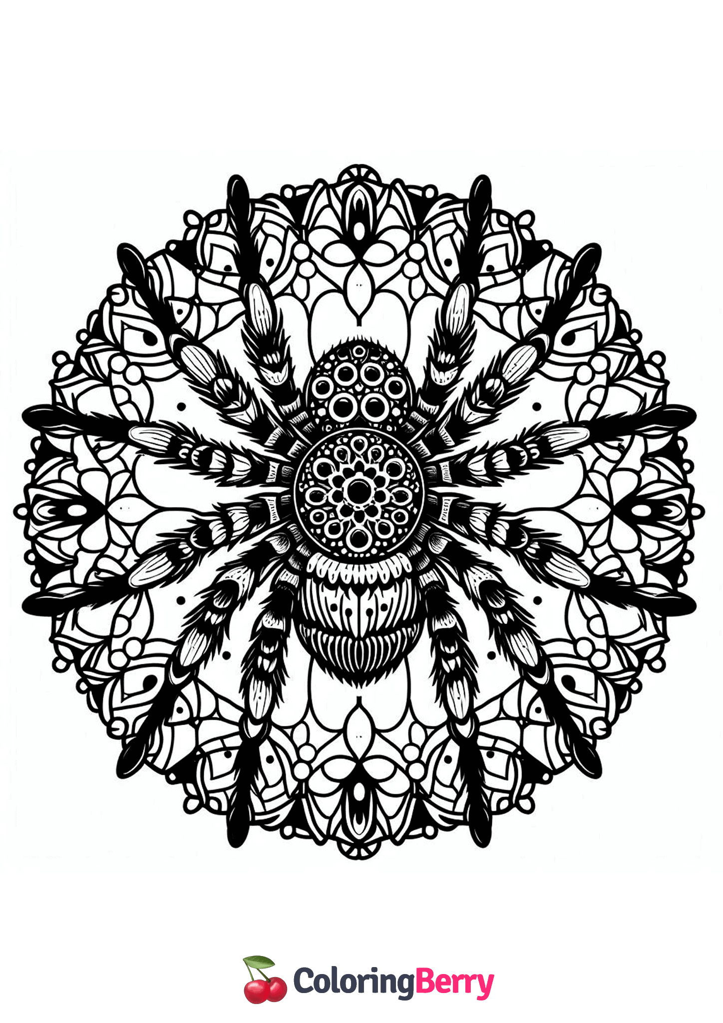 Mandala Spider