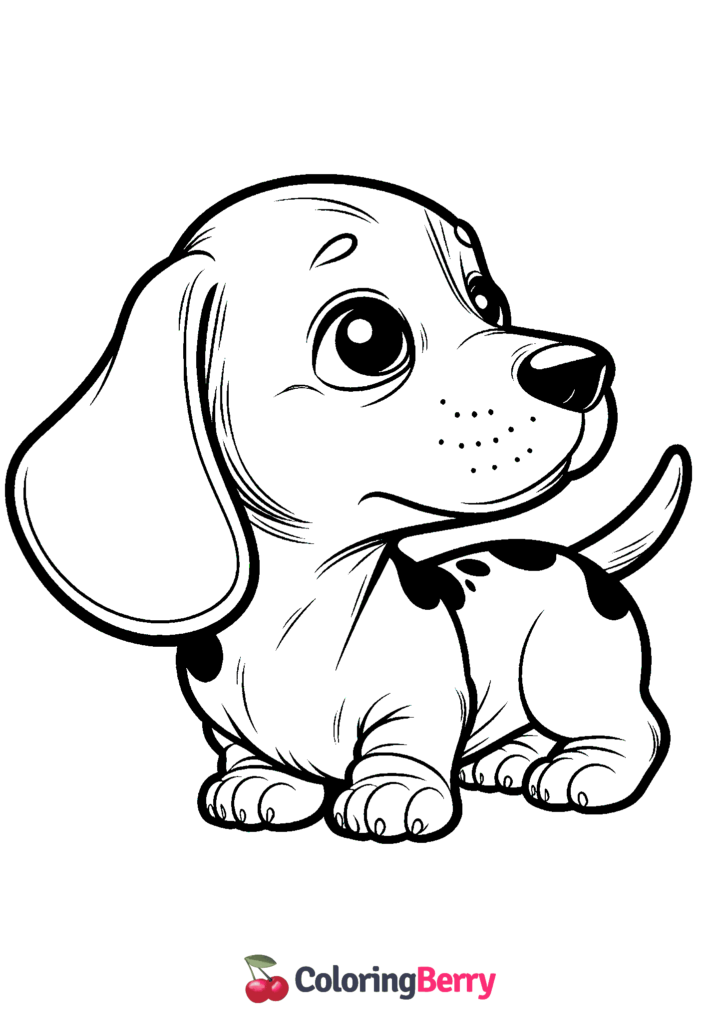 Miniature Dachshund