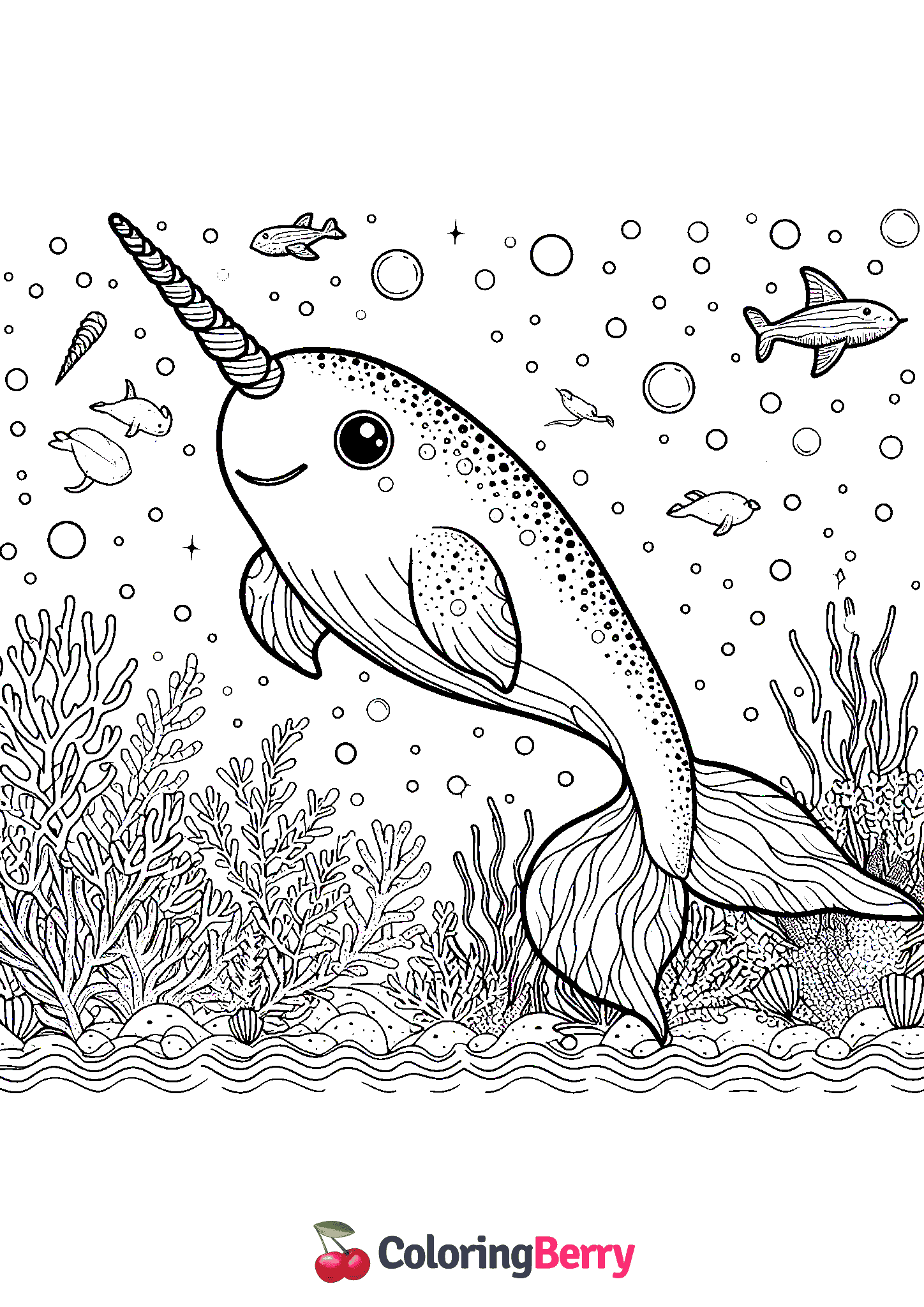 Narwhal