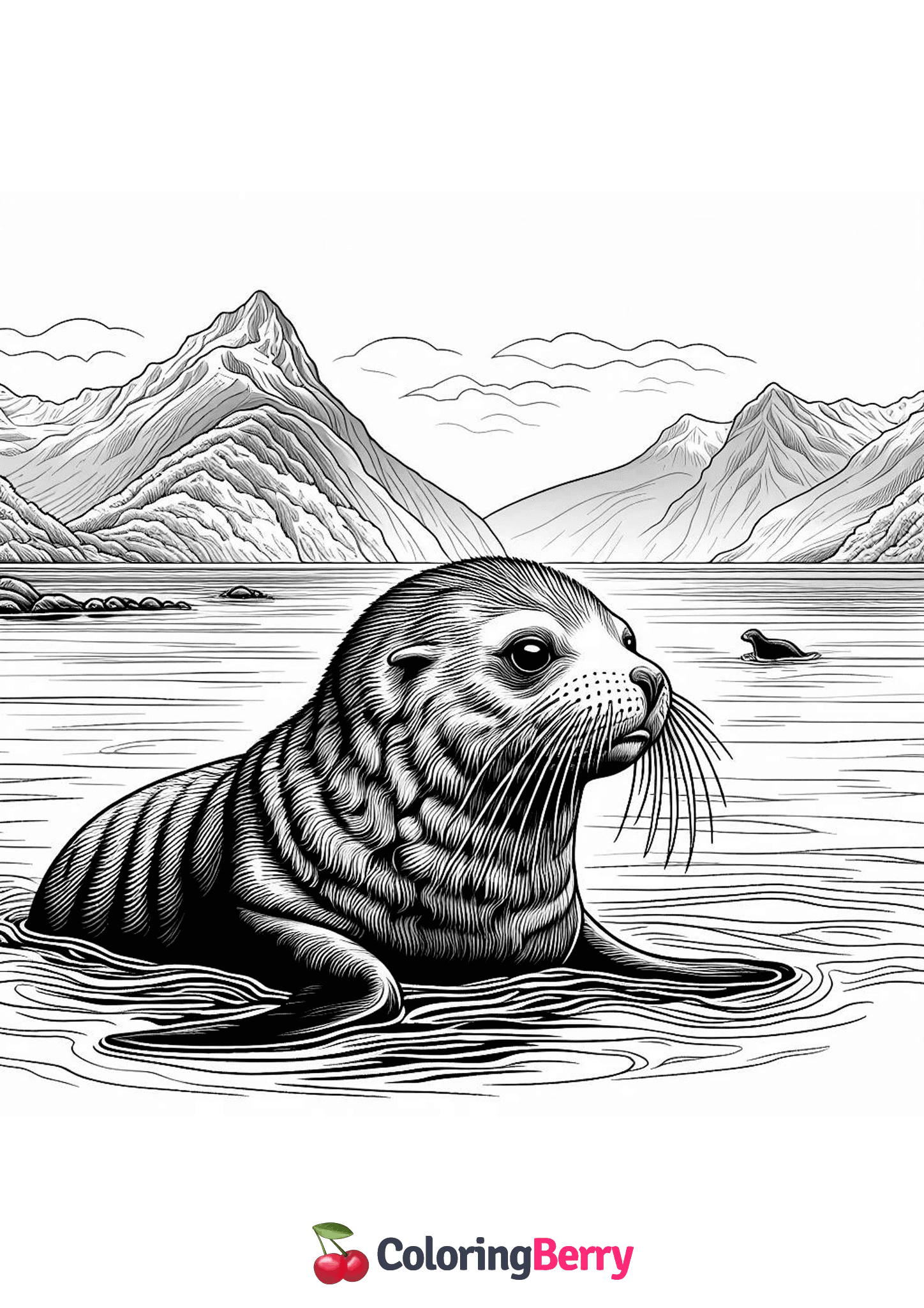 New Zealand Sea Lion