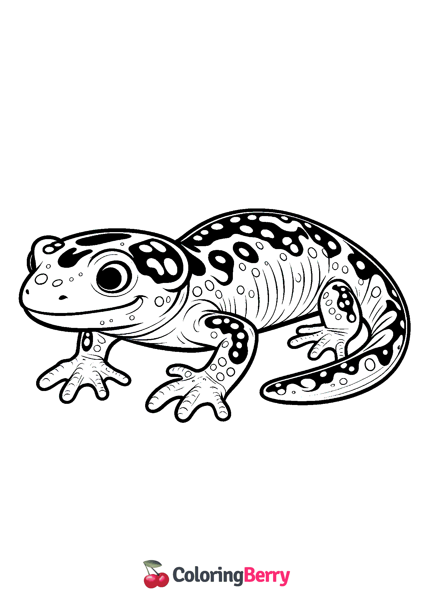 Northern Gray Cheeked Salamander