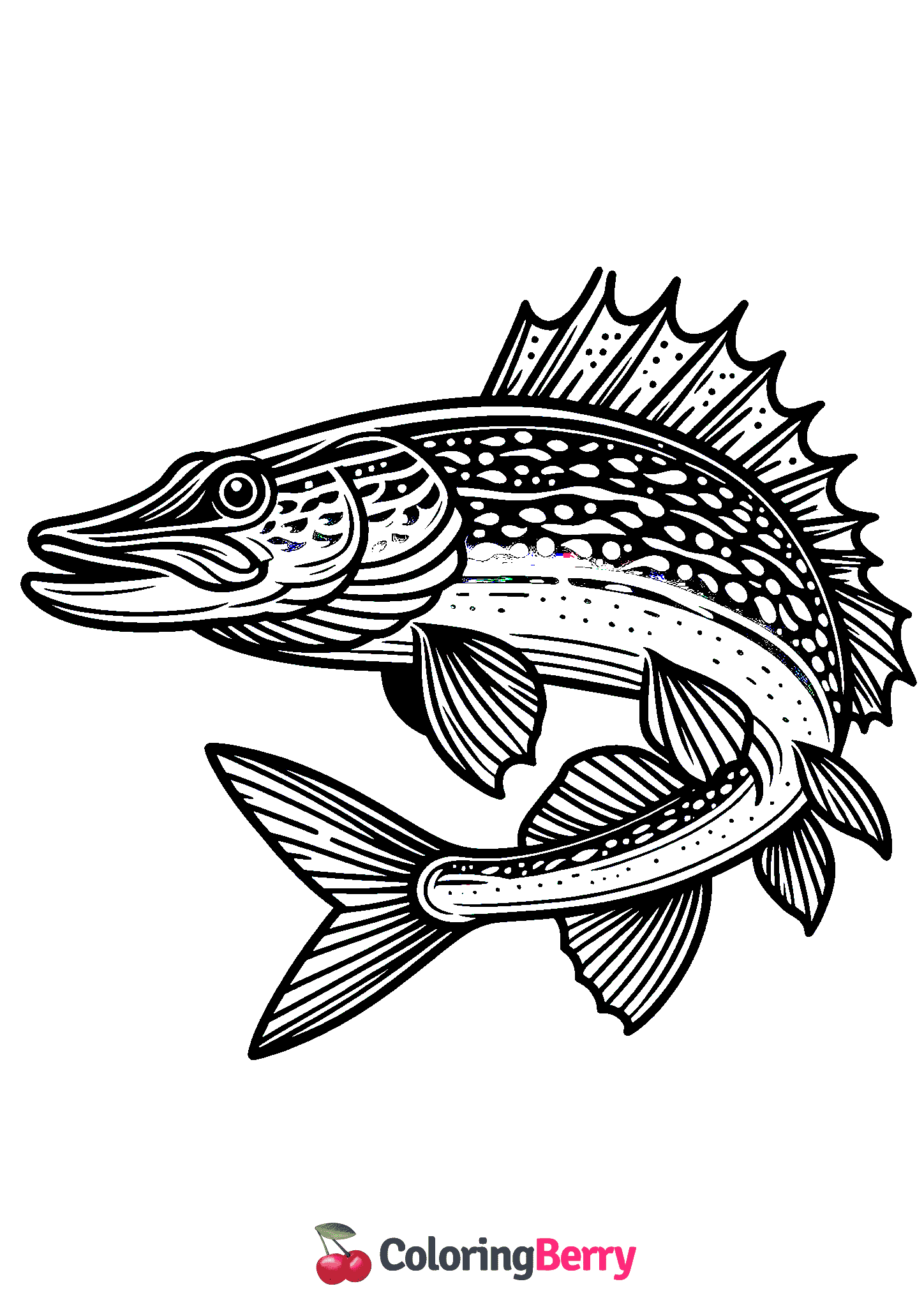 Northern Pike Fish