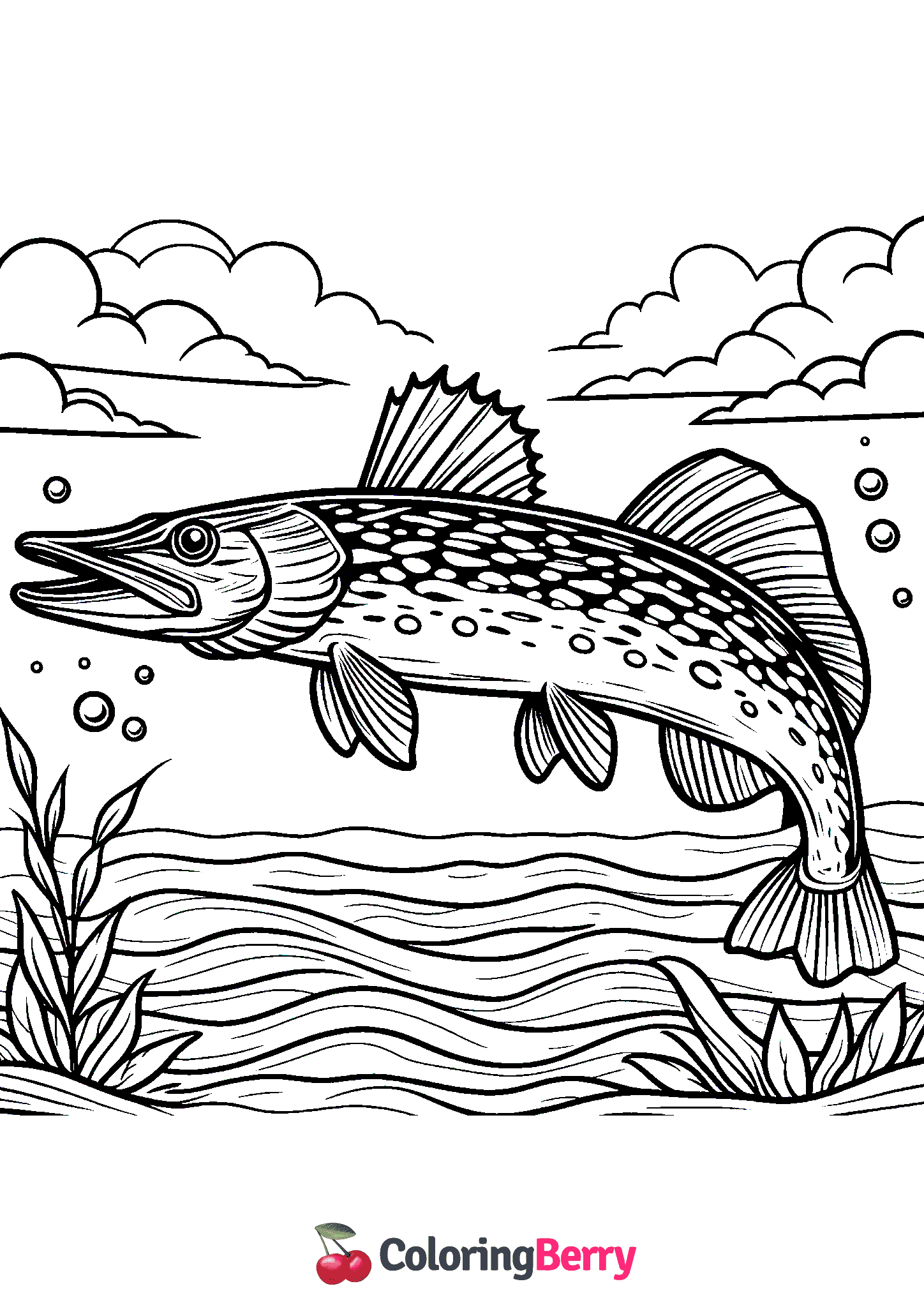 Northern Pike