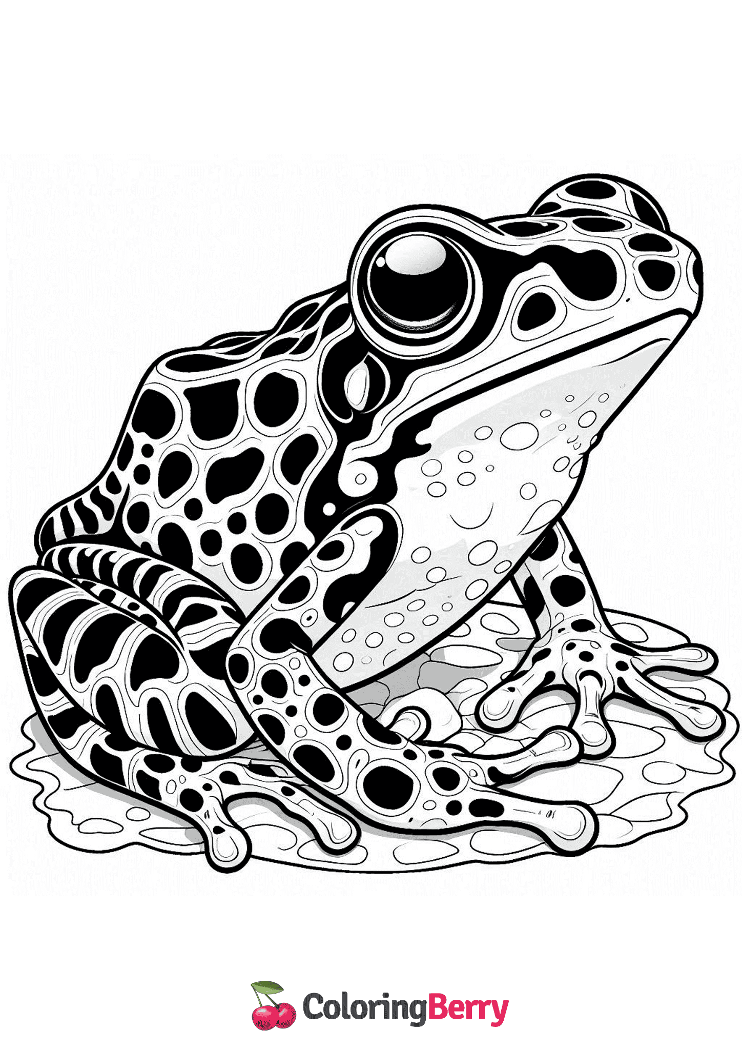 Nothern Leopard Frog
