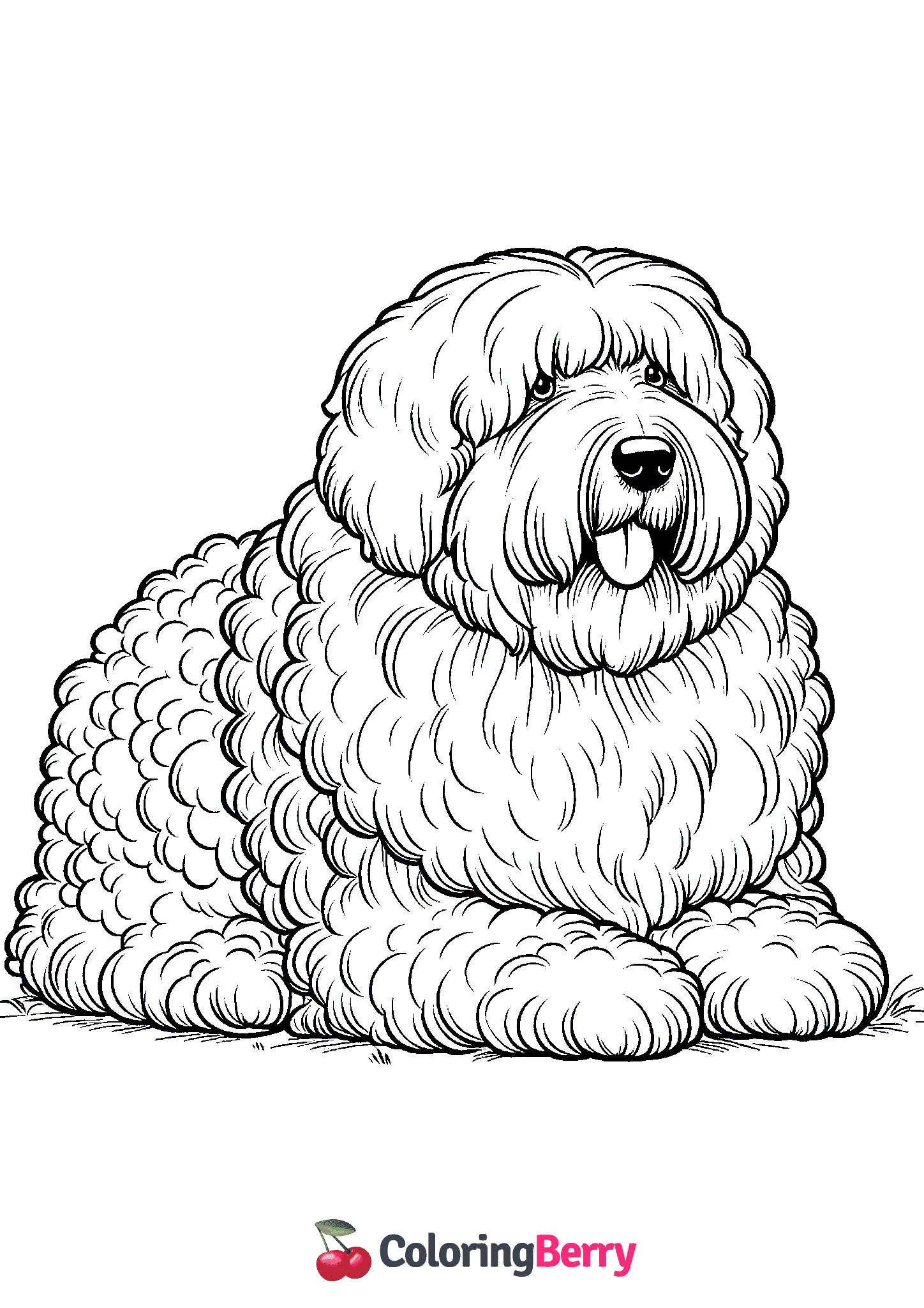 Old English Sheepdog