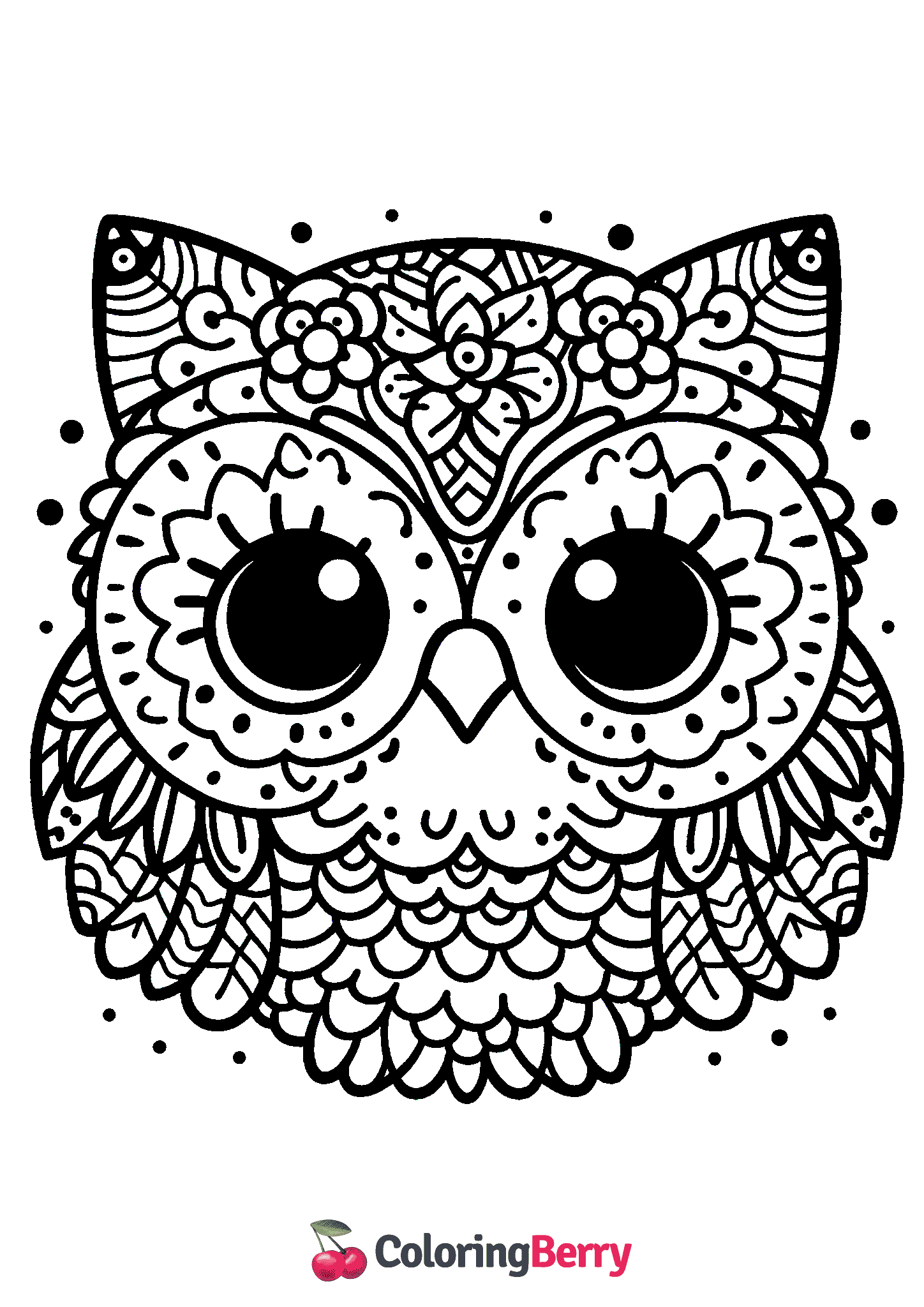 Owl Face