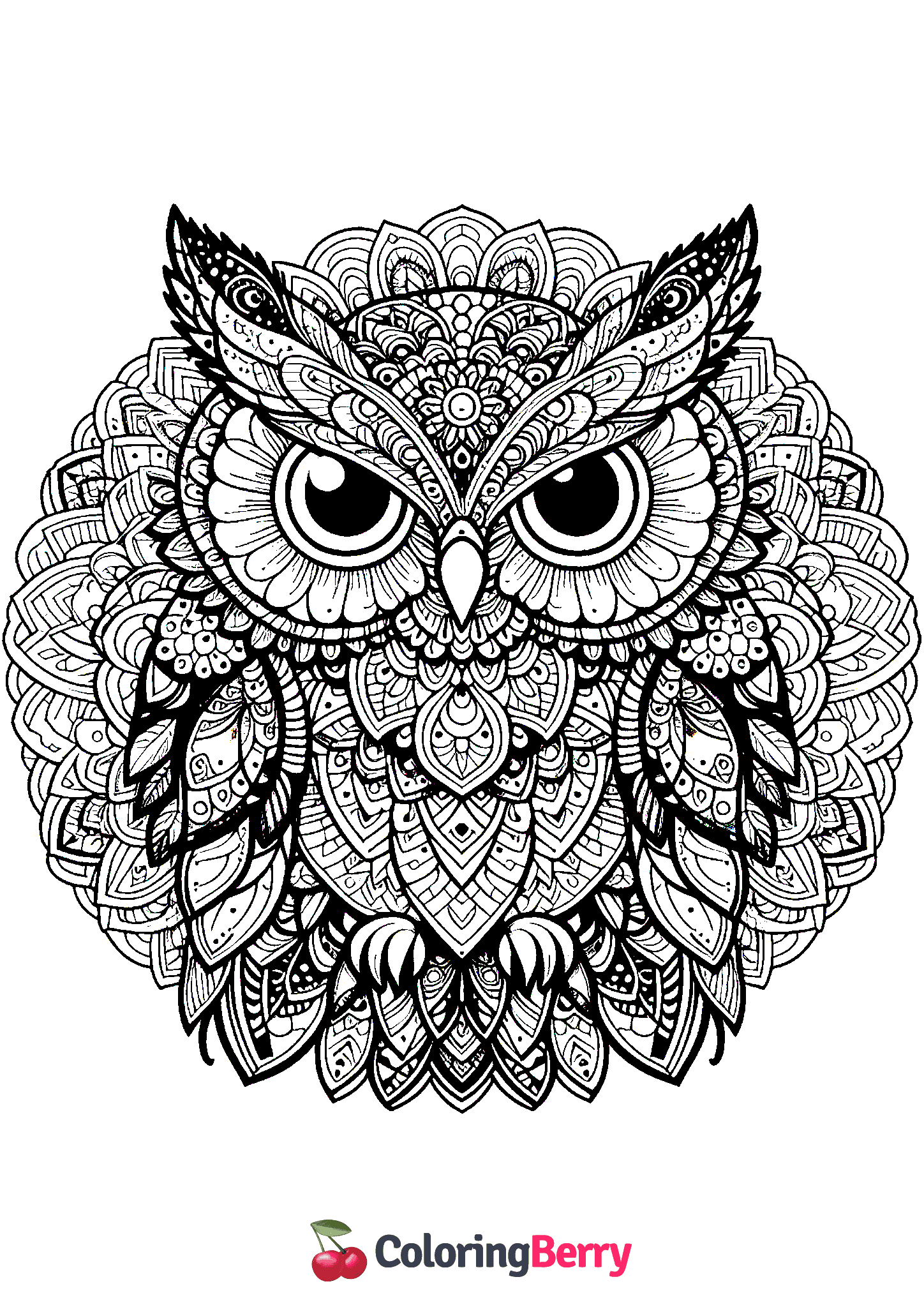 Owl Mandala