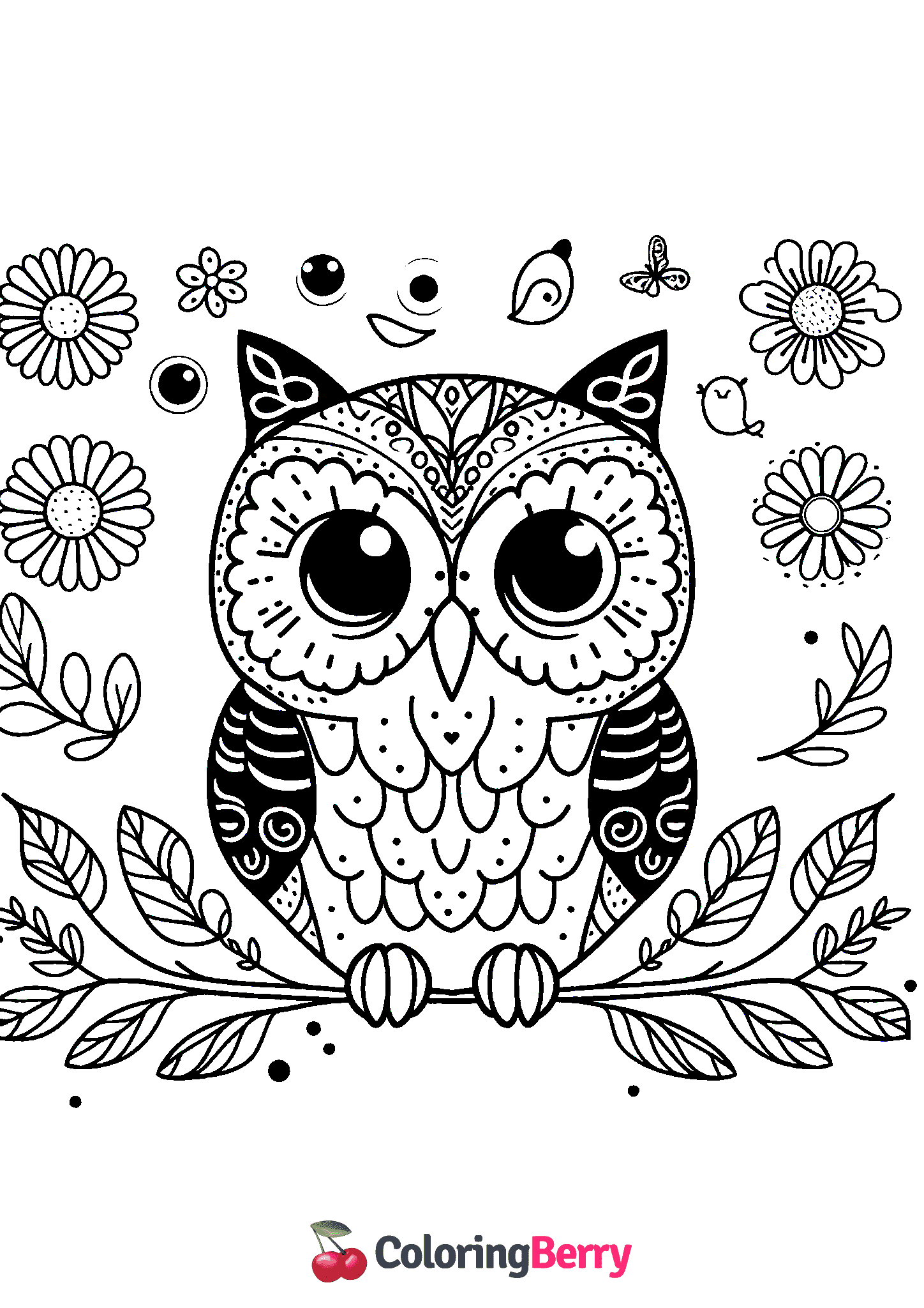 Owl