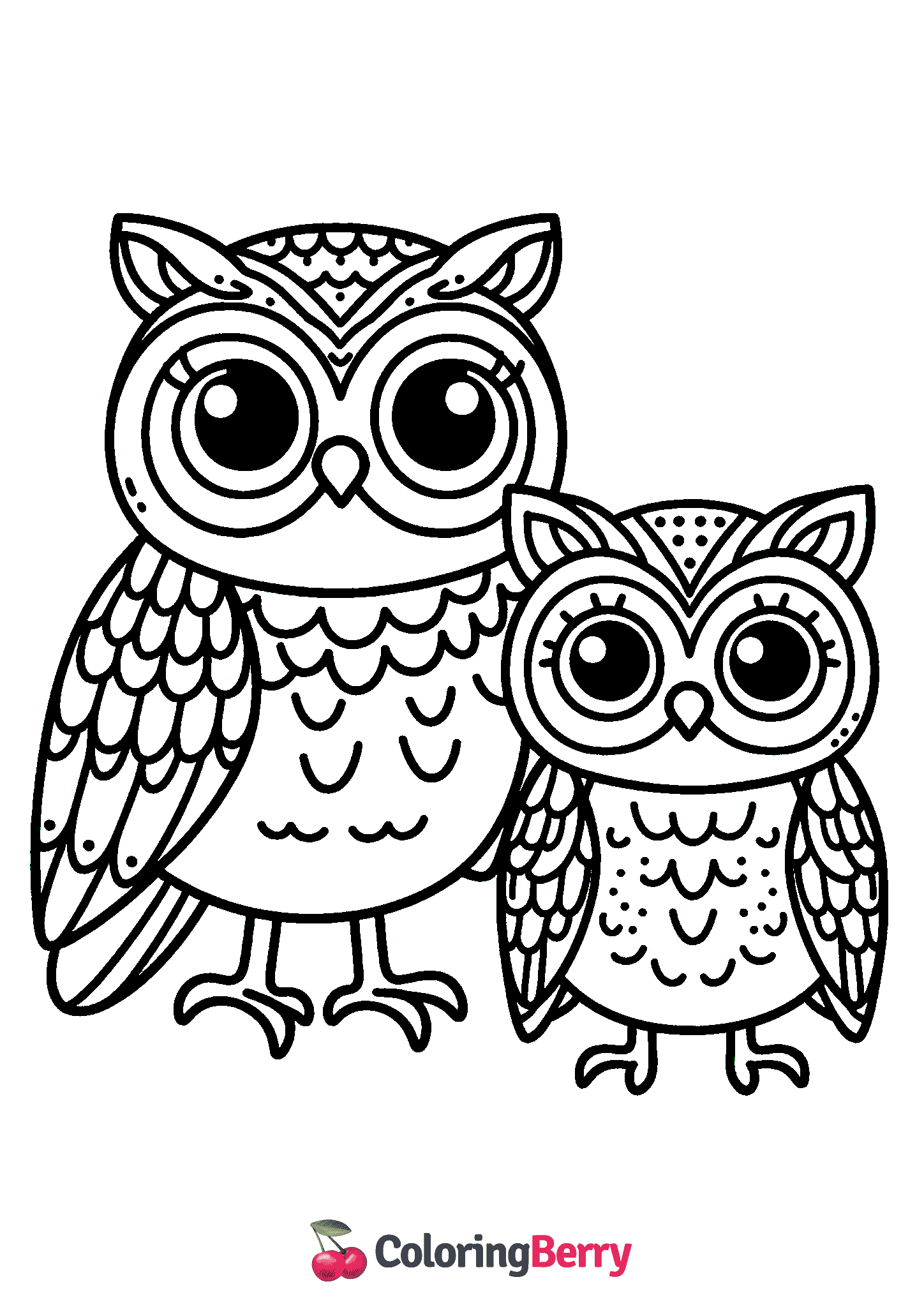 Owls