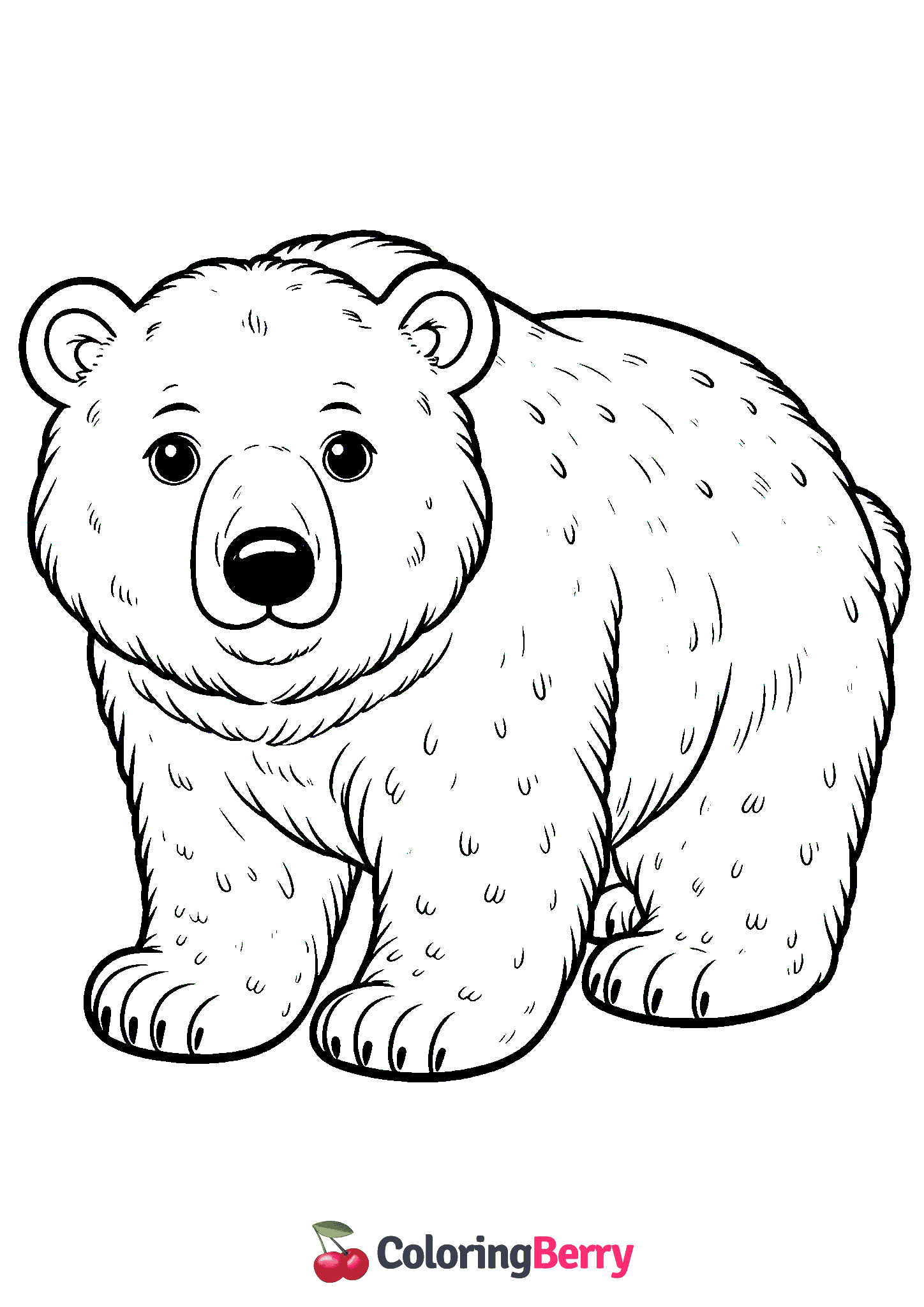 Polar Bear