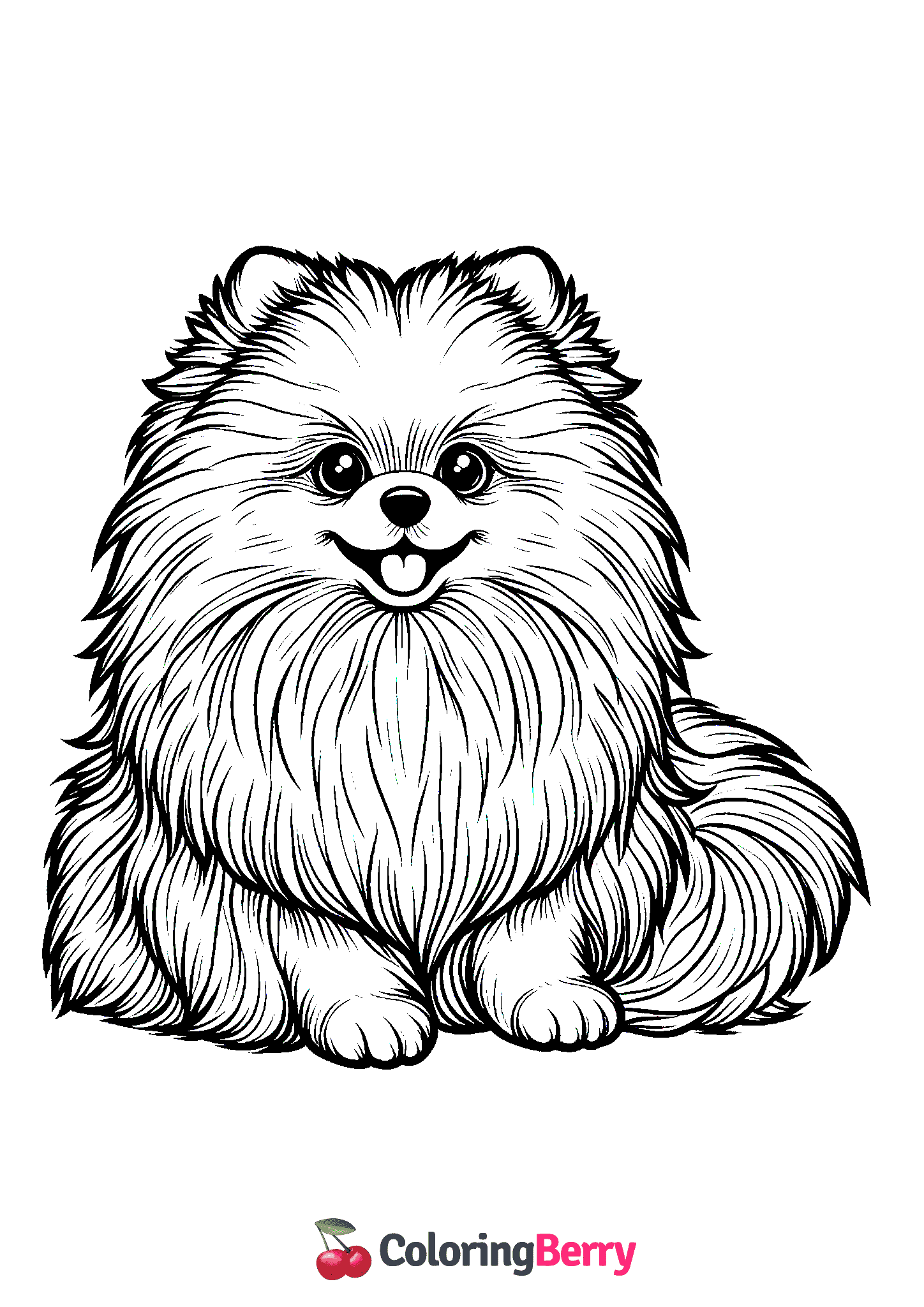 Pomeranian