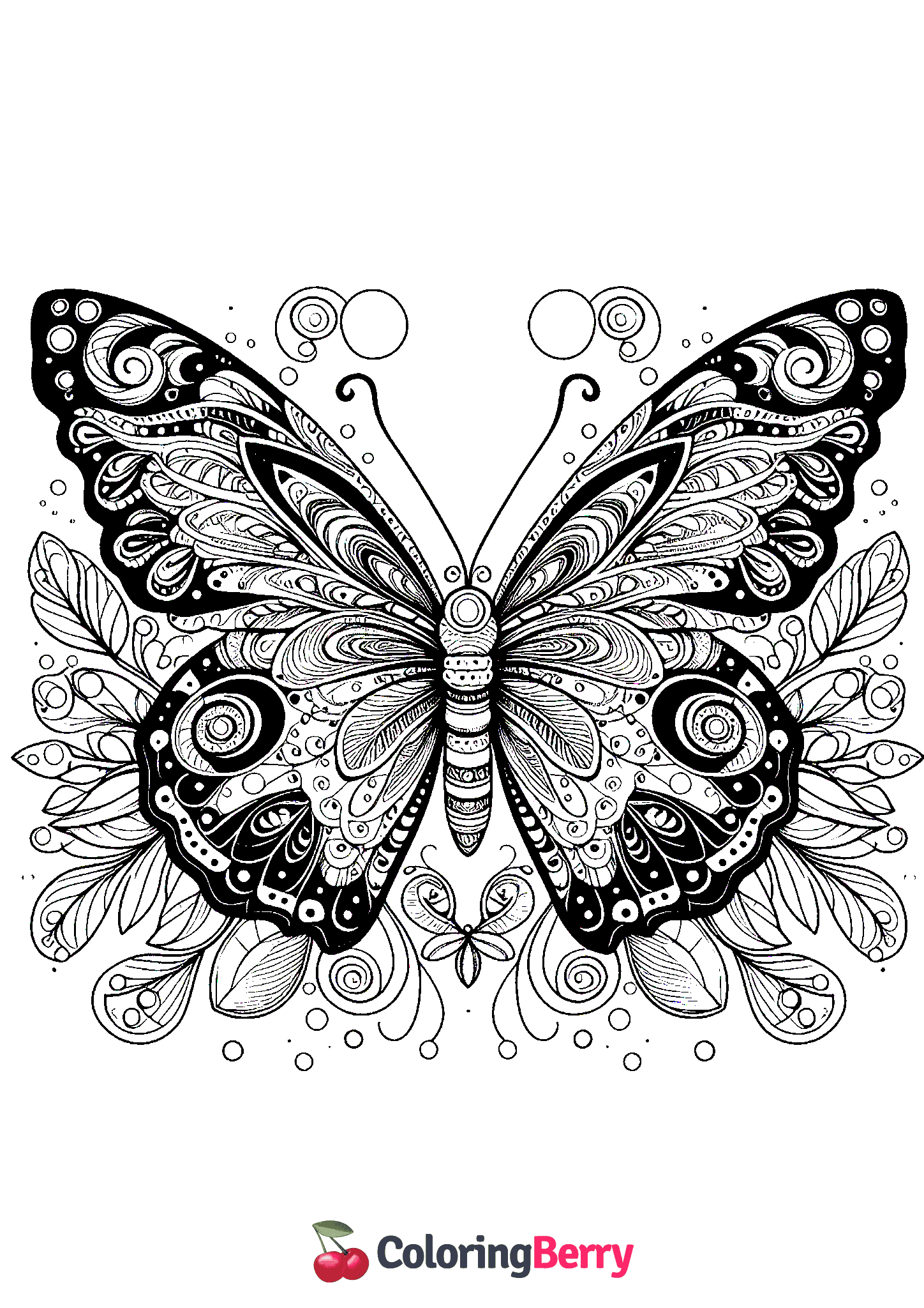 Pretty Butterfly