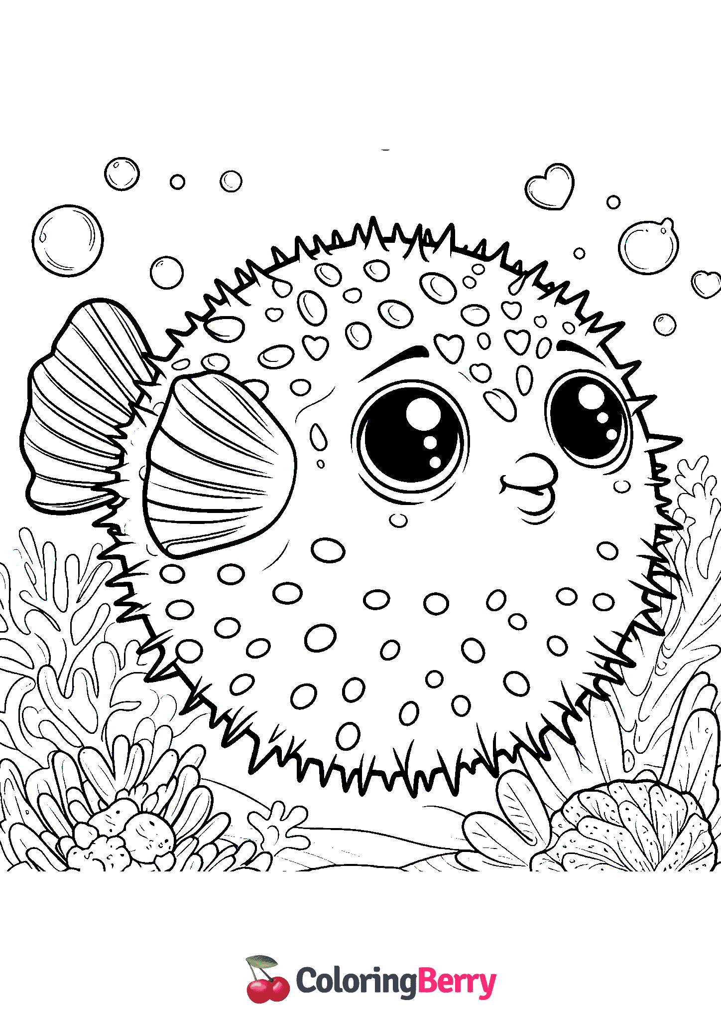 Puffer Fish