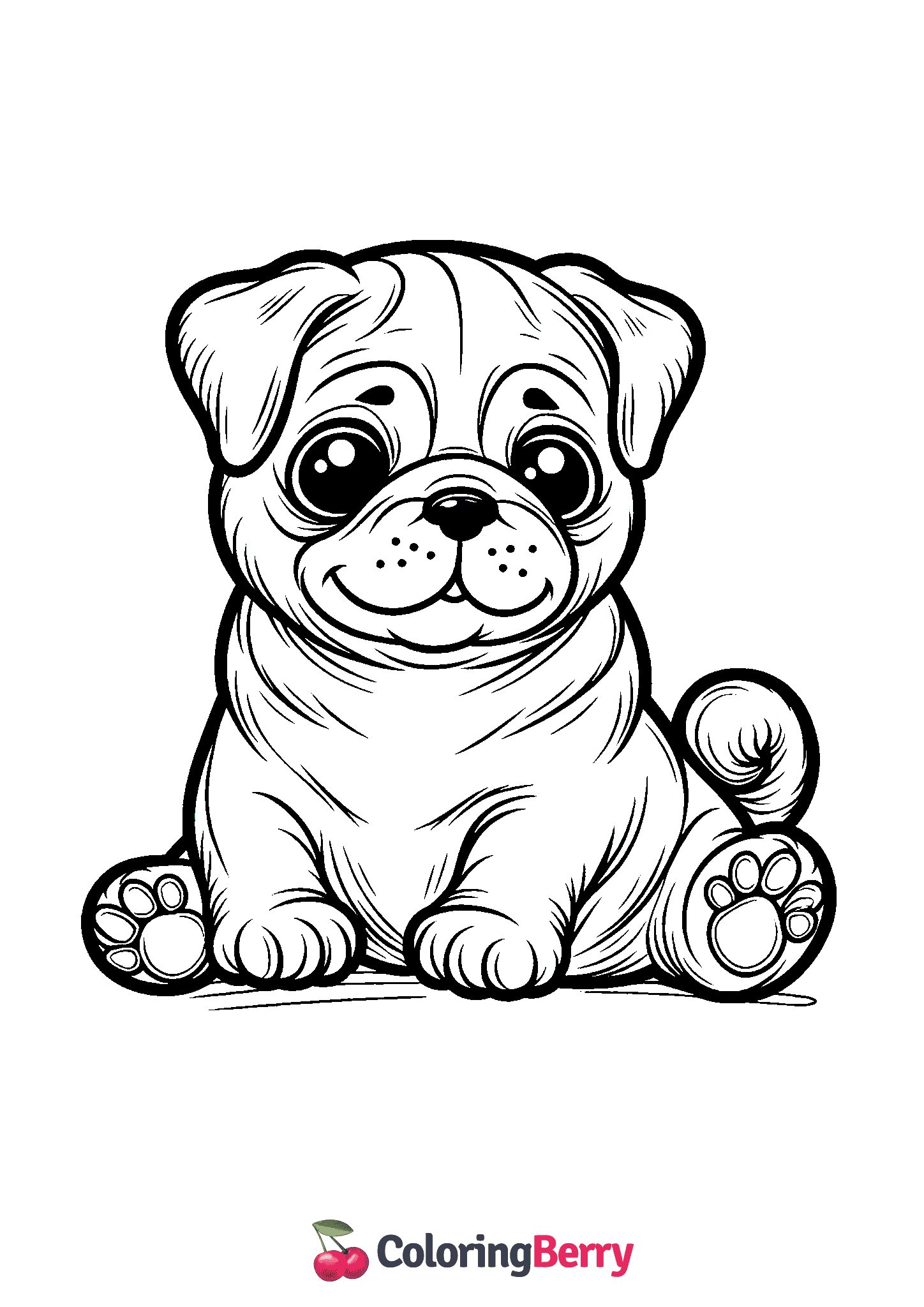 Pug Puppy