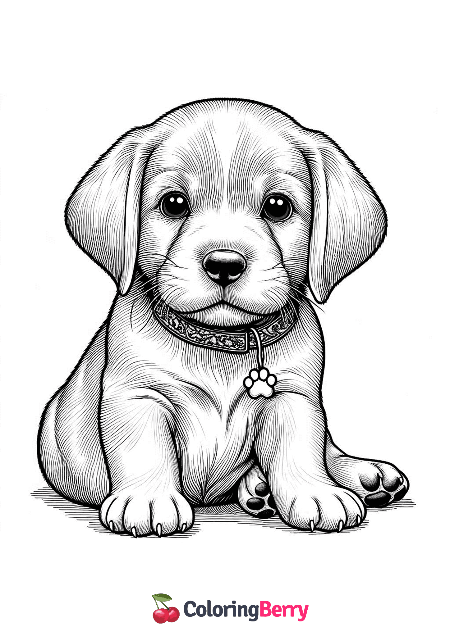 Realistic Cute Puppy