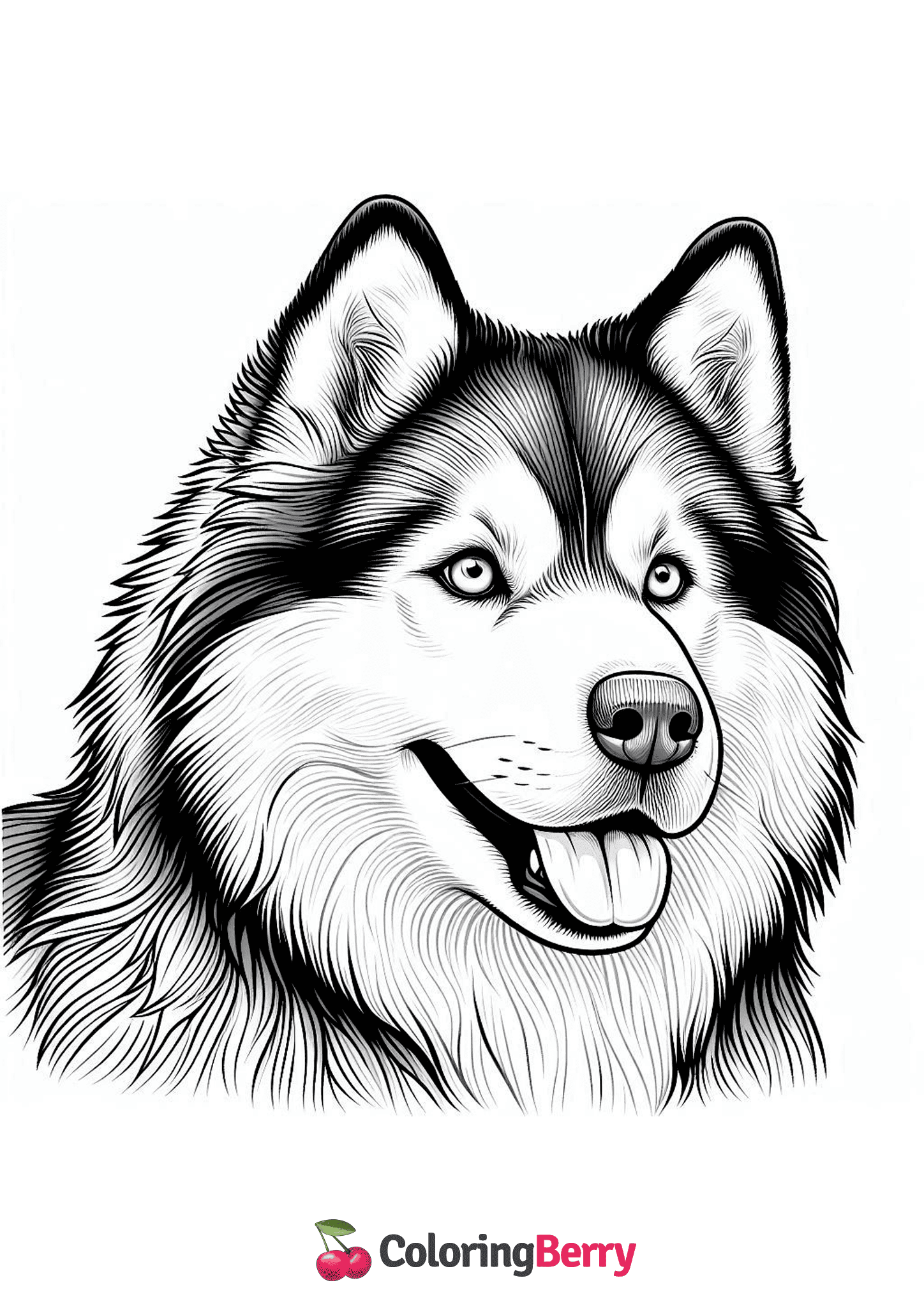 Realistic Husky