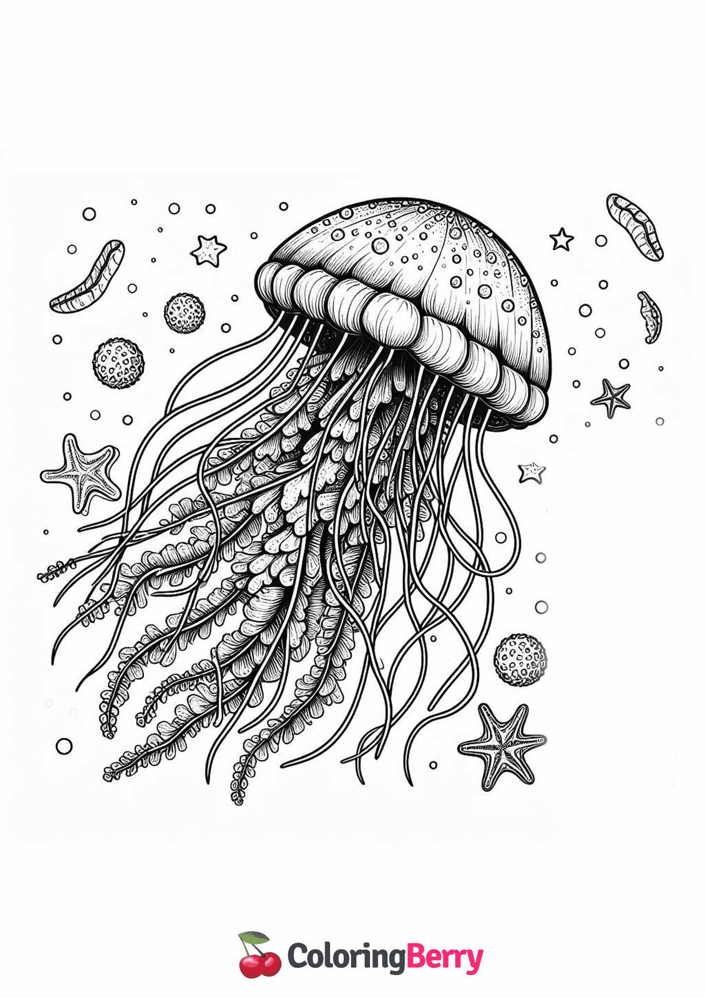 Realistic Jellyfish