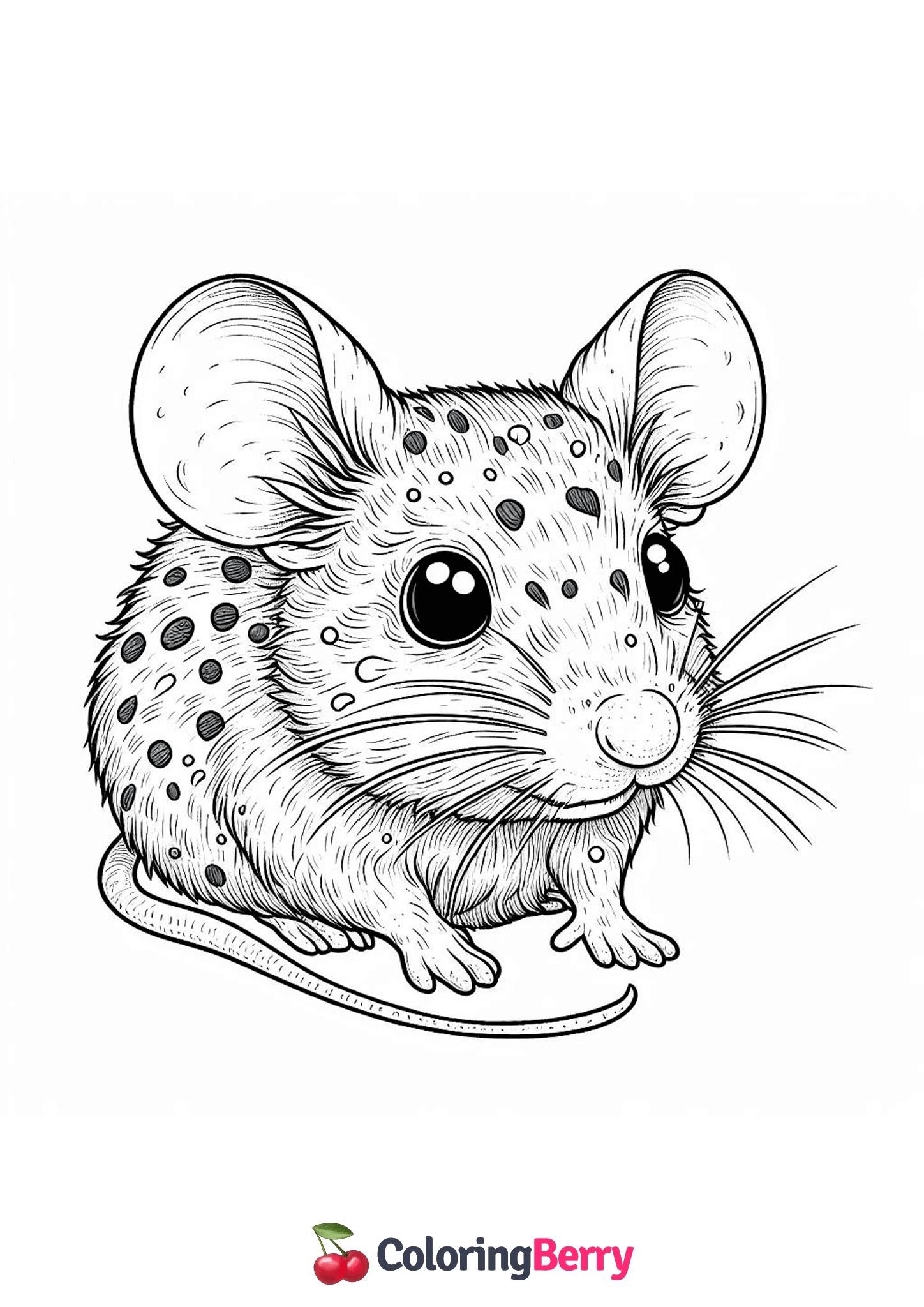 Realistic Mouse