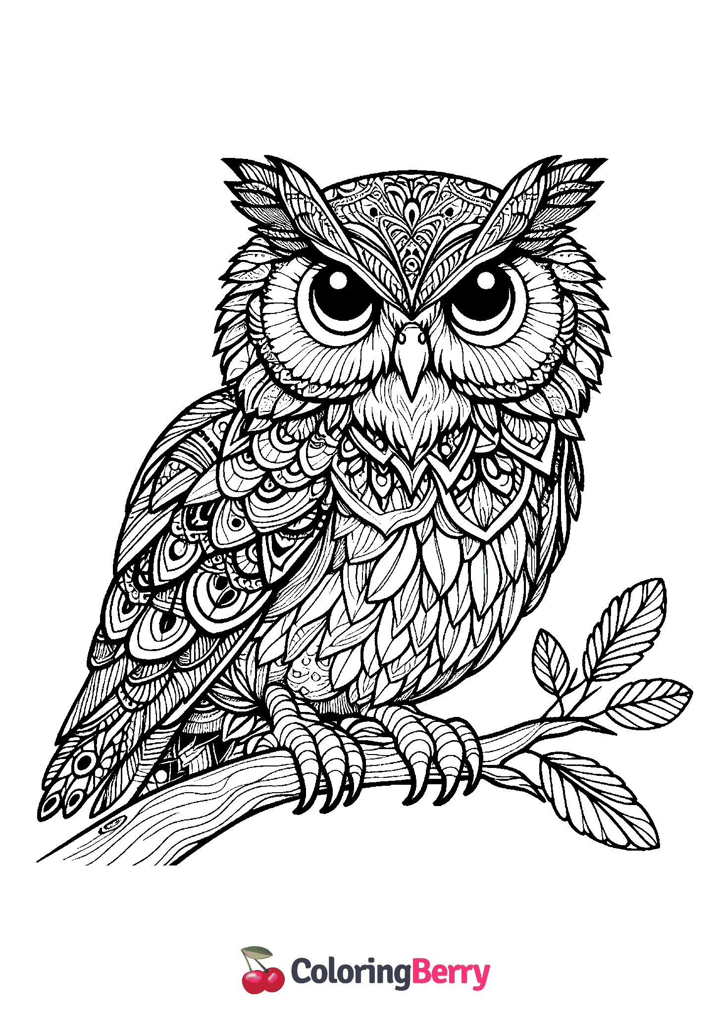 Realistic Owl