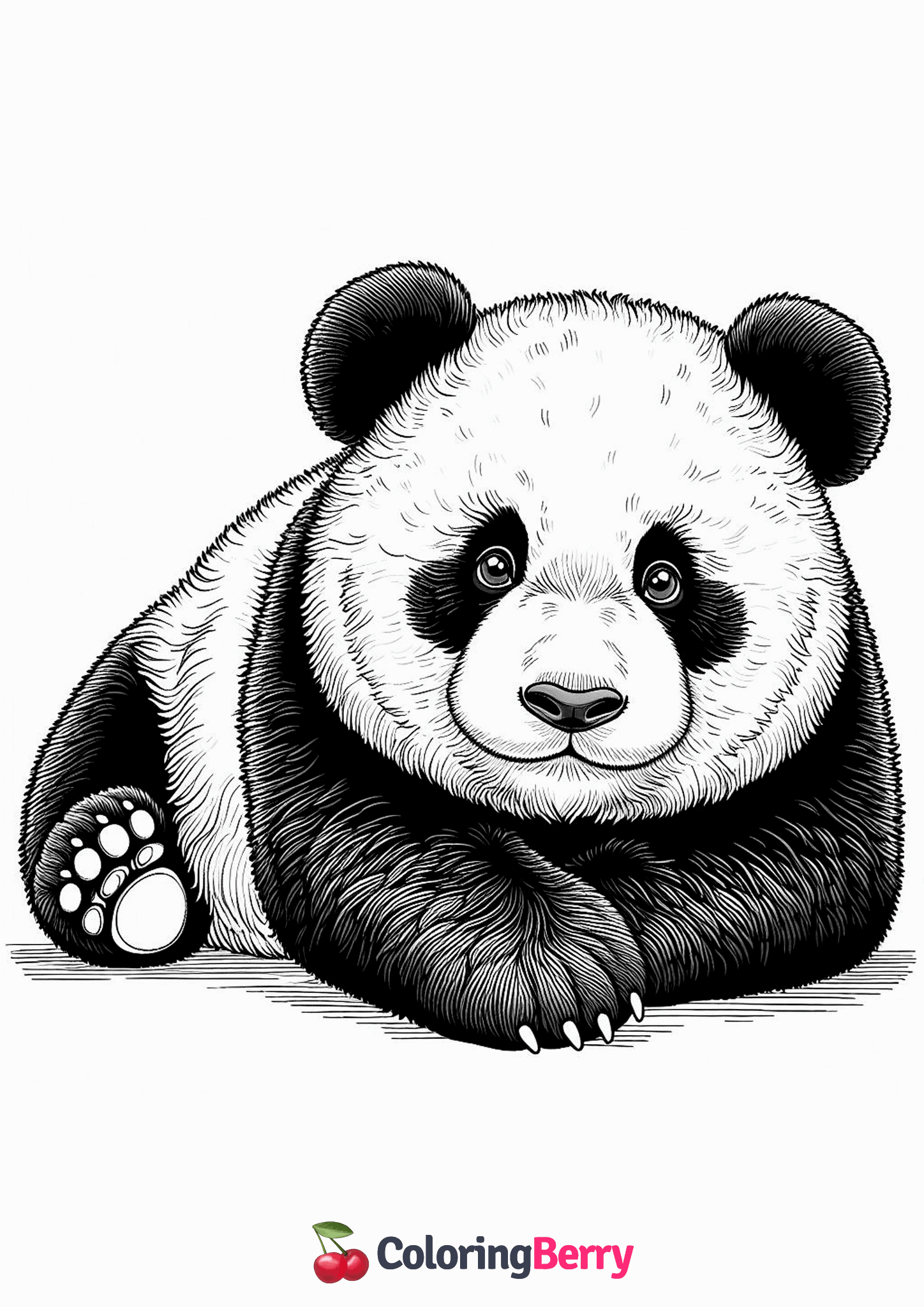 Realistic Panda