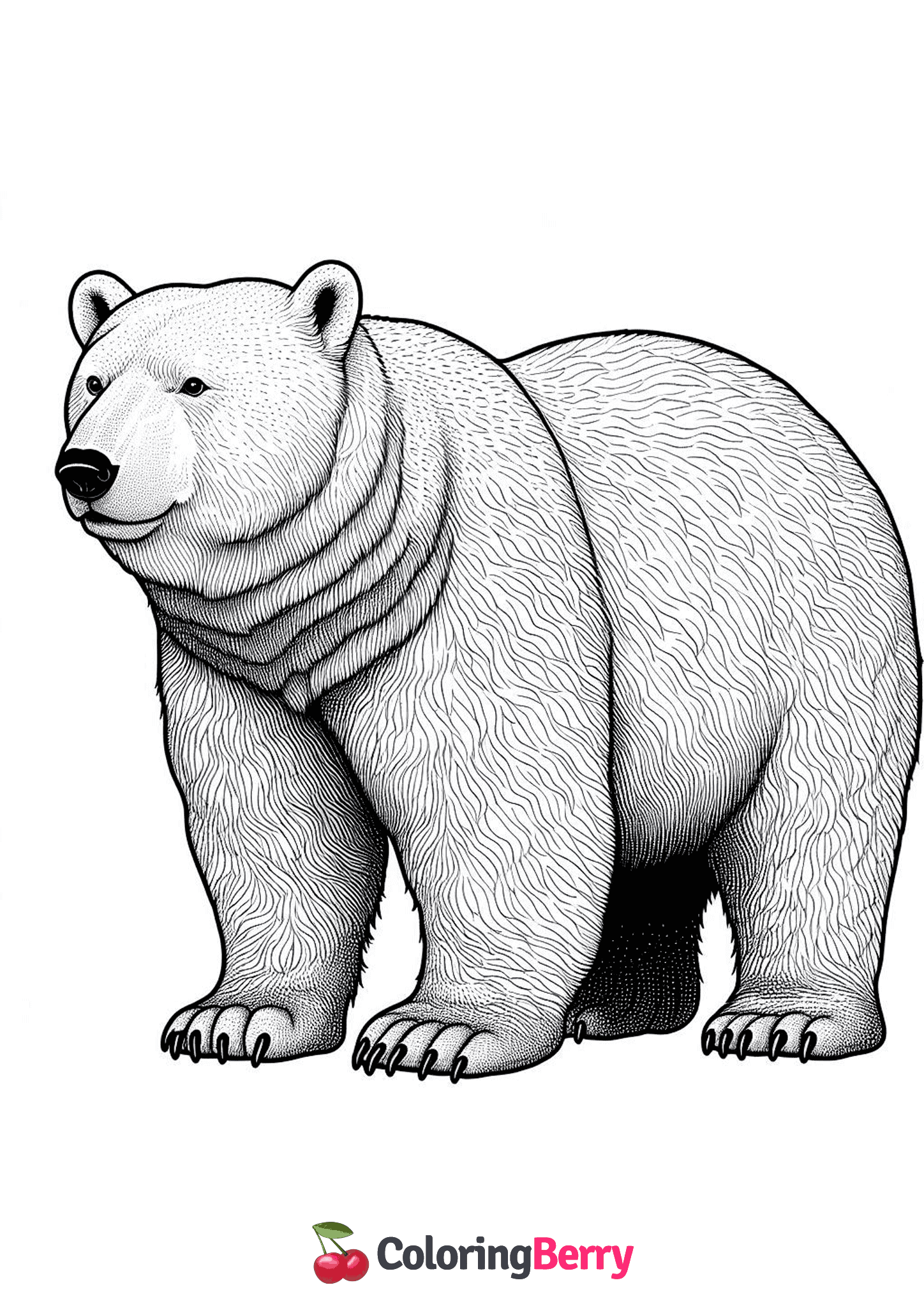 Realistic Polar Bear