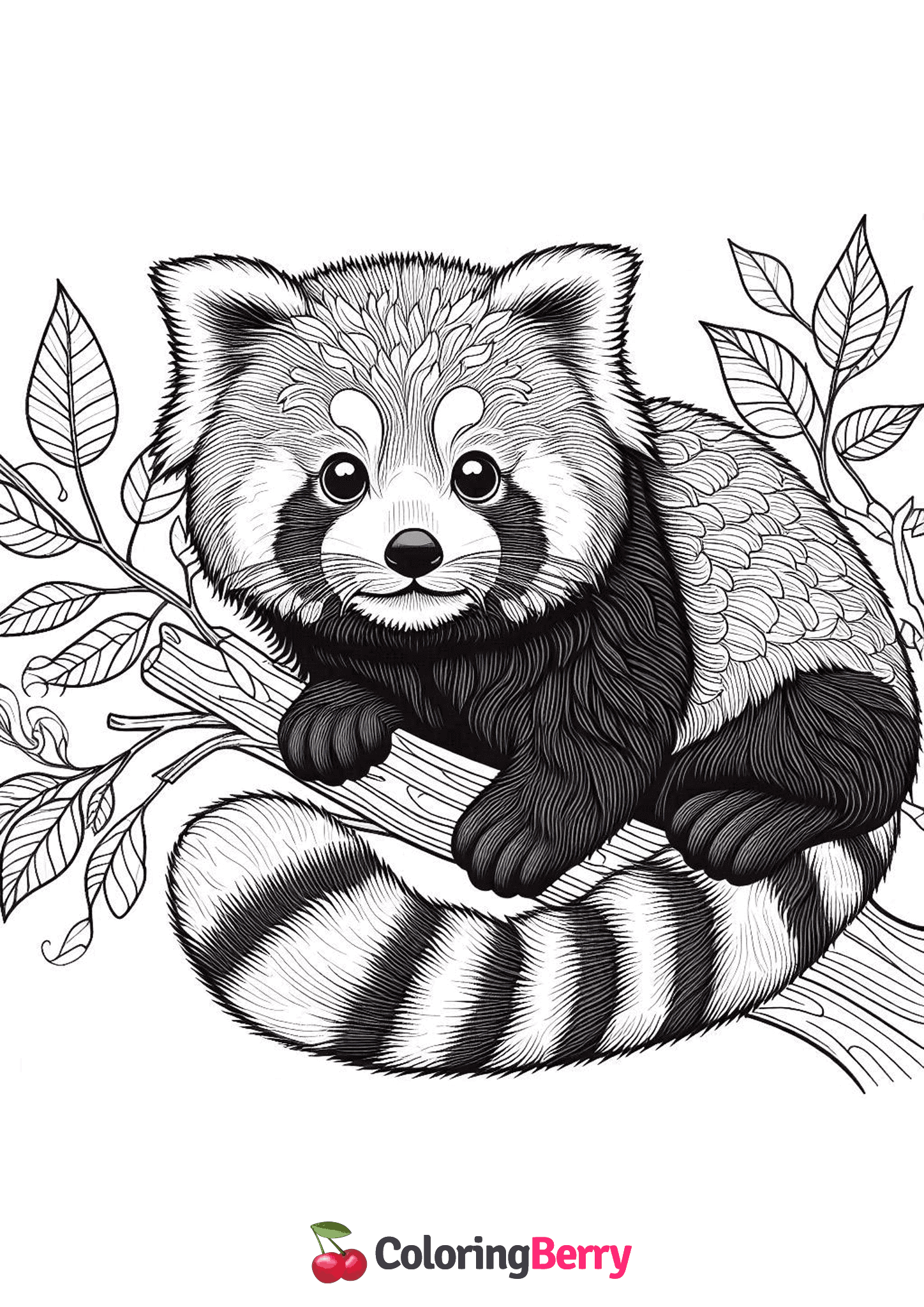 Realistic Red Panda