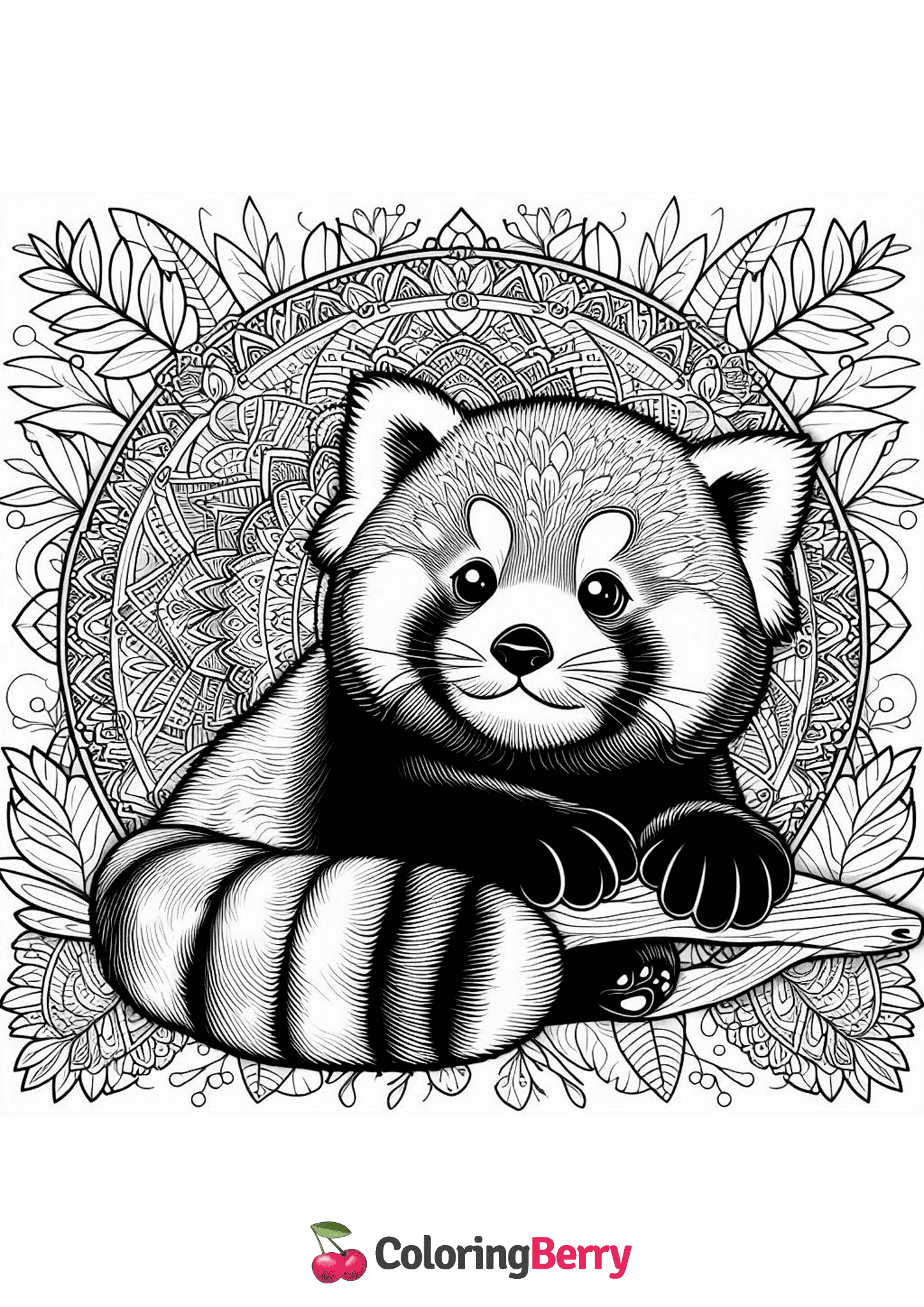 Red Panda Mandala