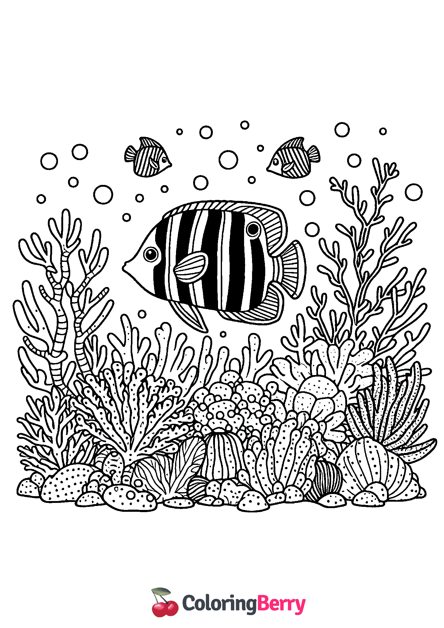 Reef Fish