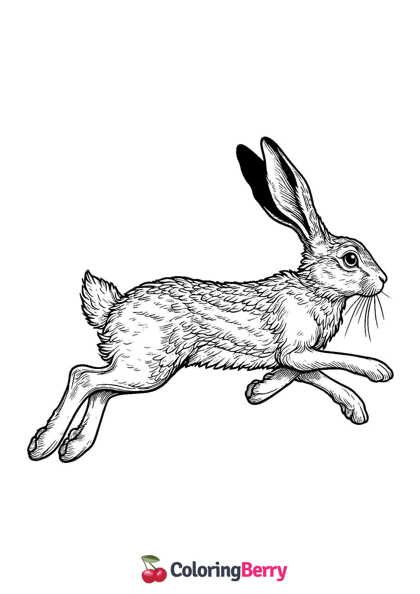 Running Hare