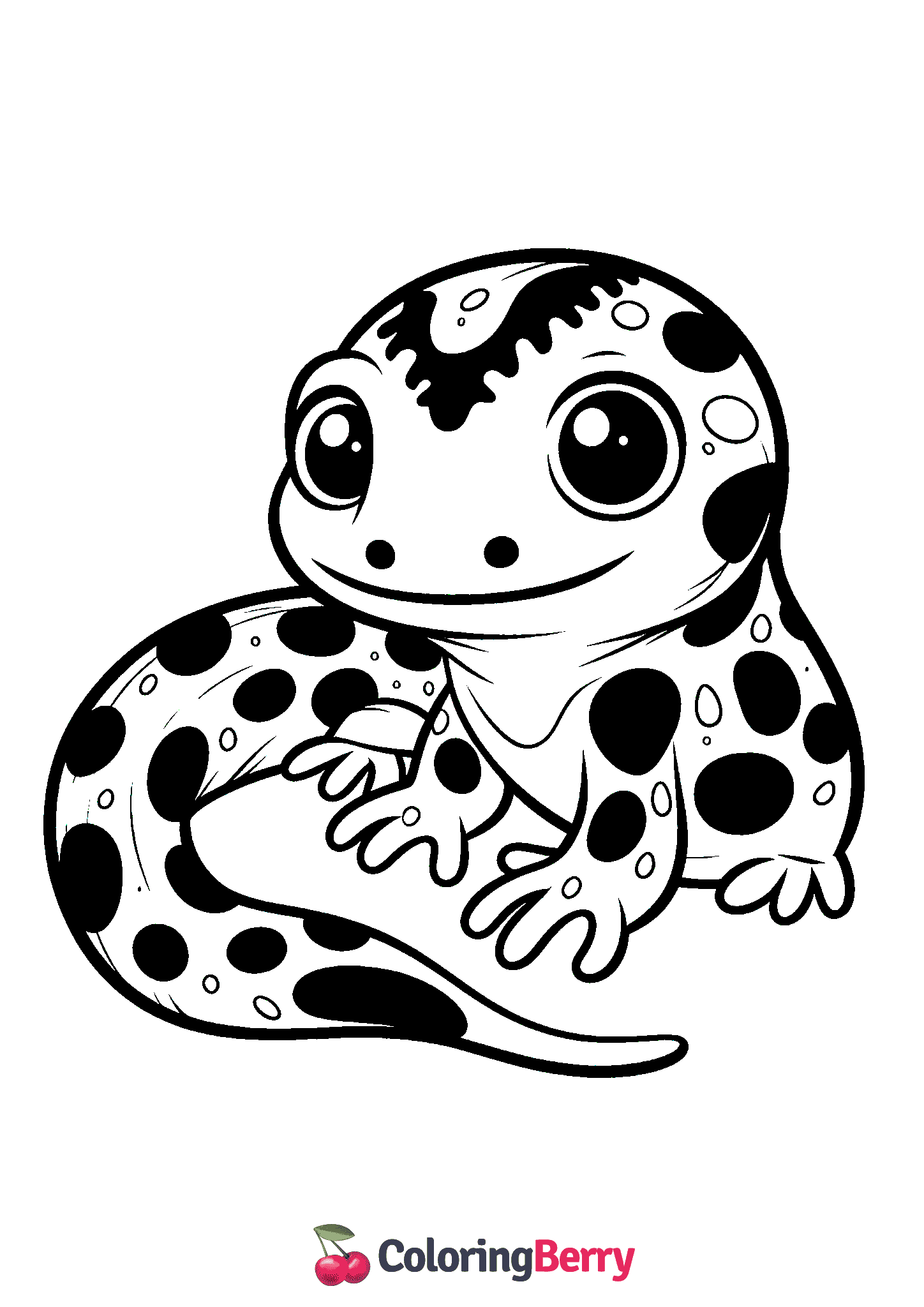 Salamander