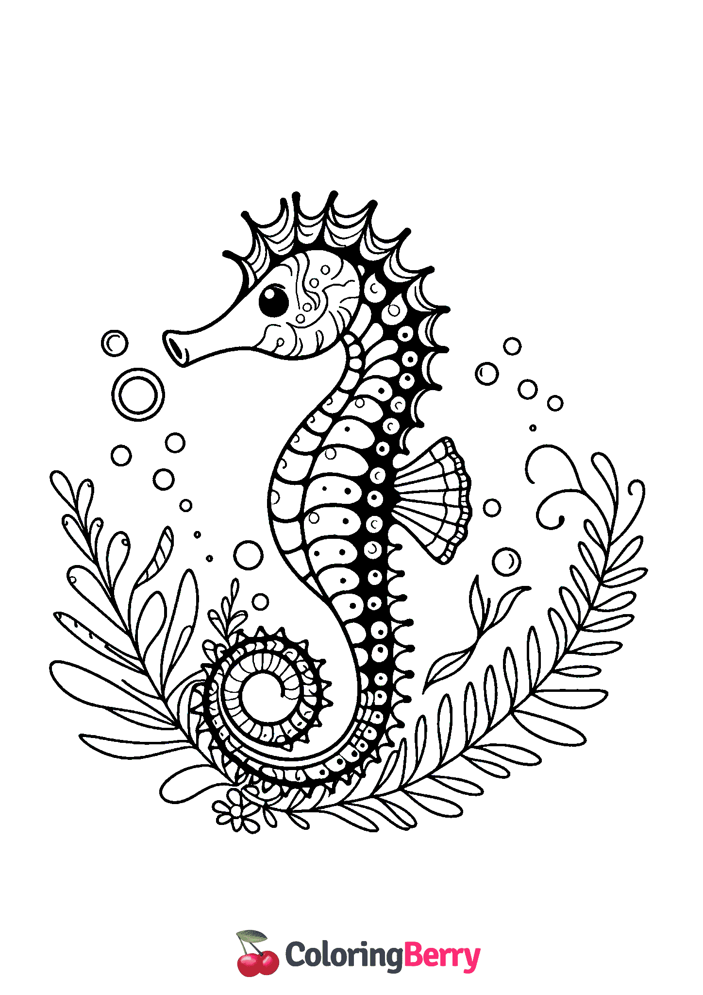 Sea Horse