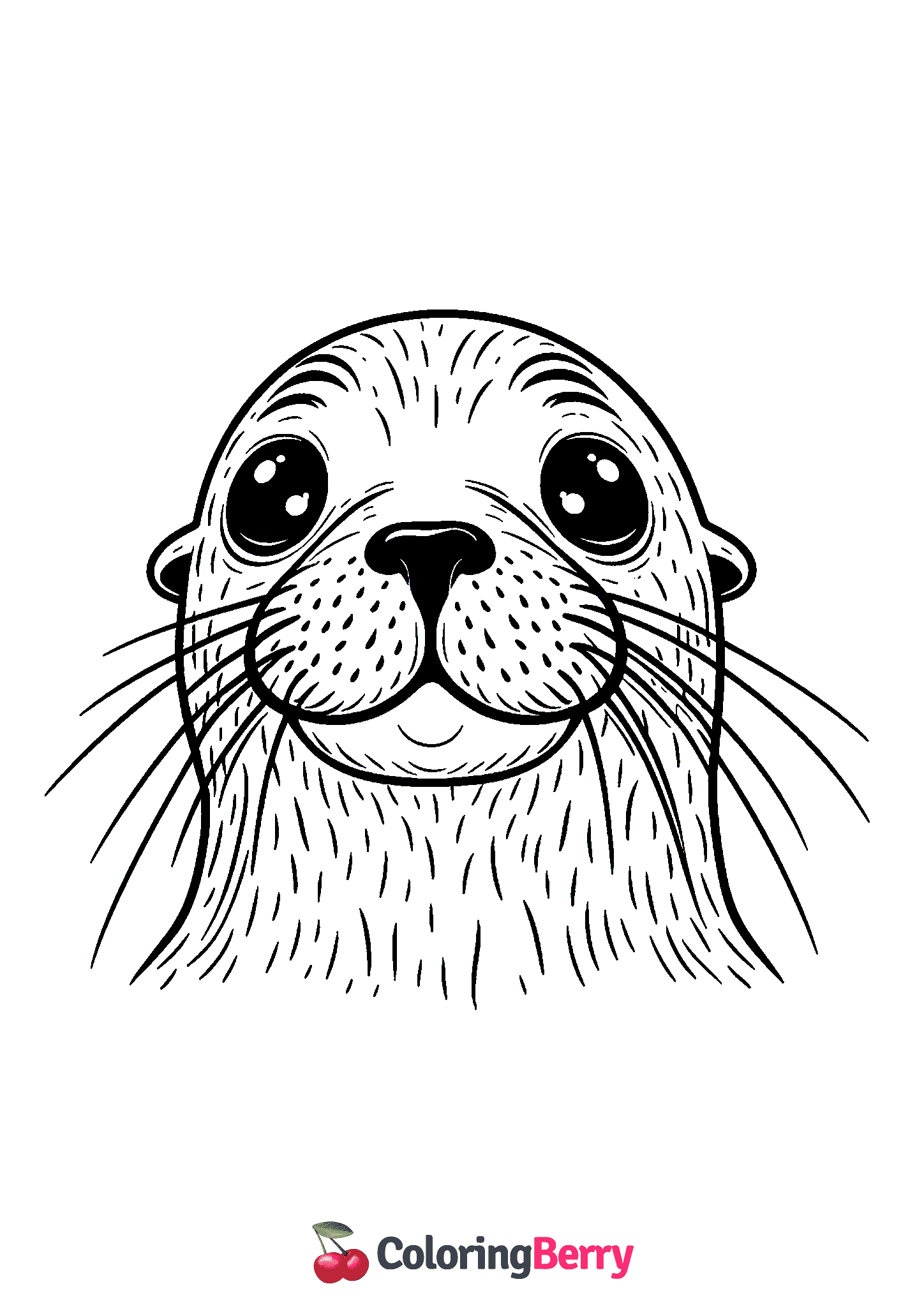 Sea Lion Face