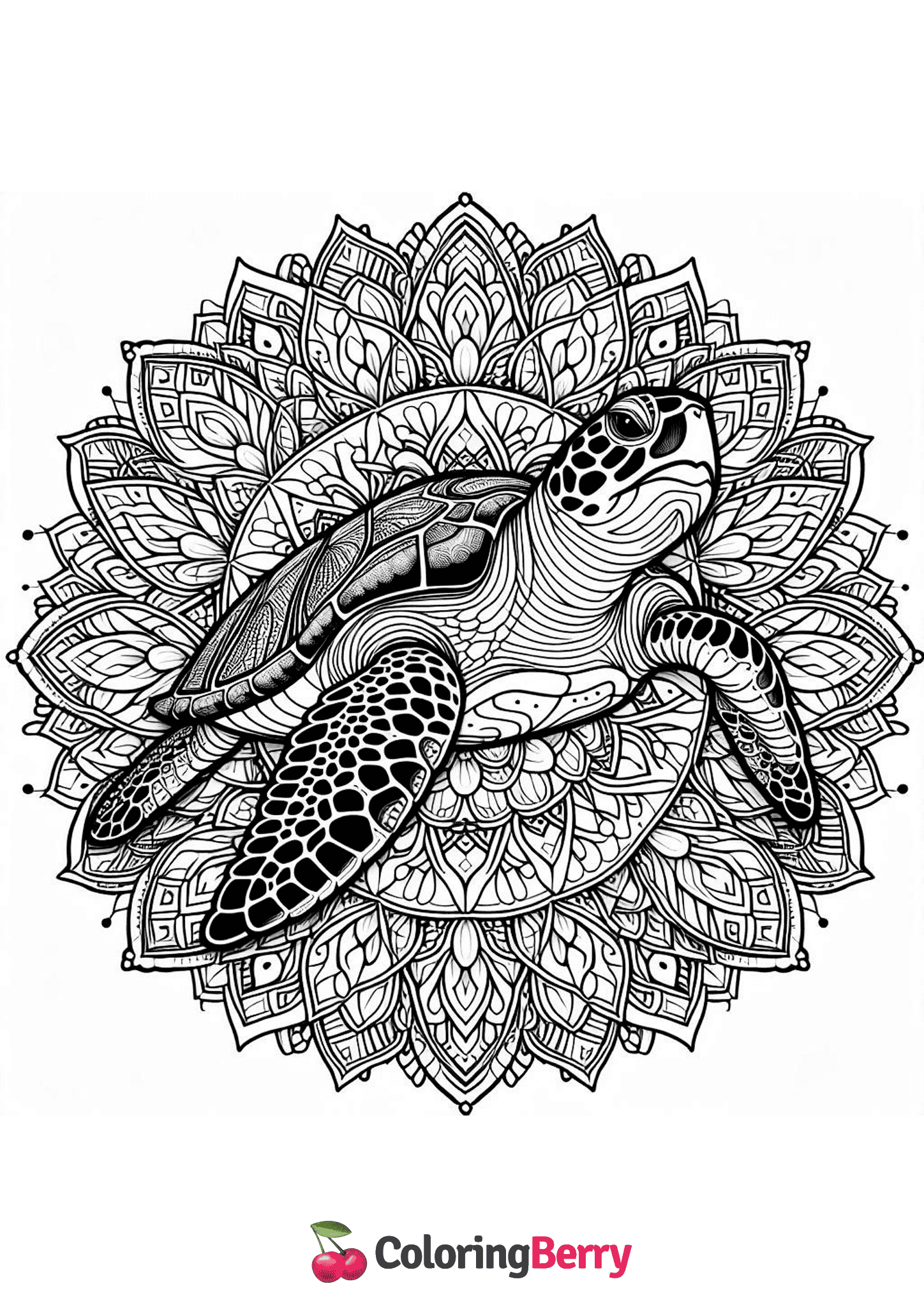Sea Turtle Mandala