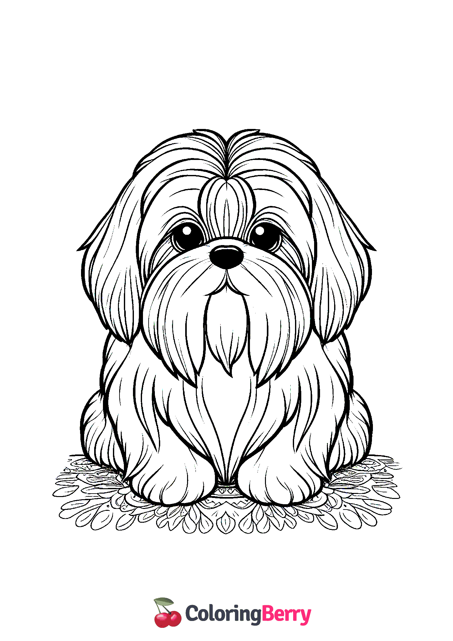 Shih Tzu Dog
