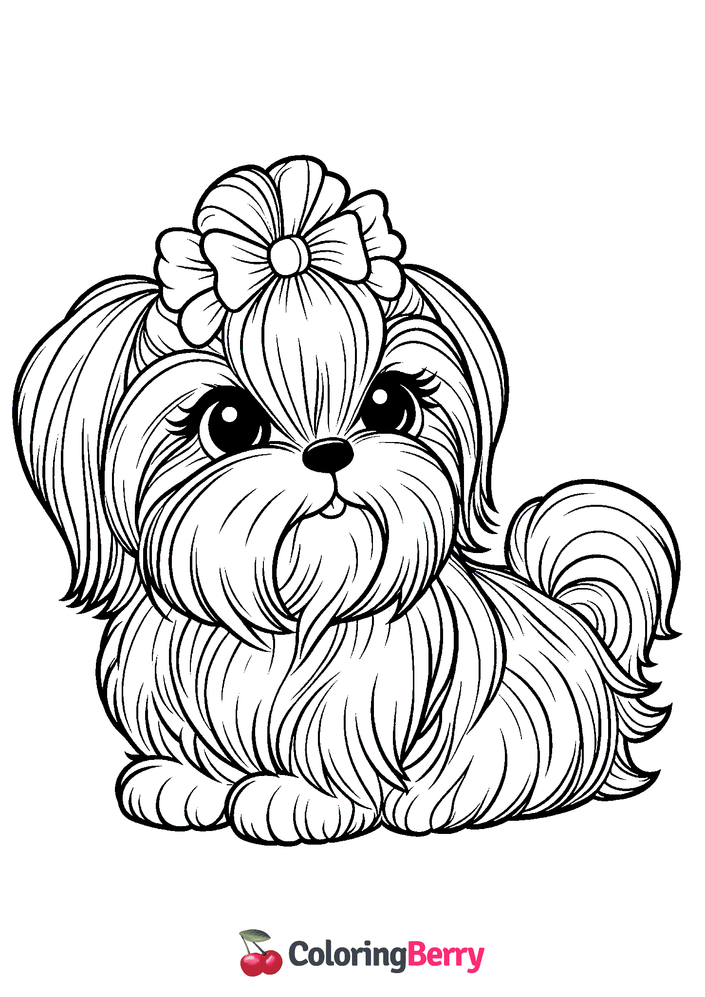 Shih Tzu