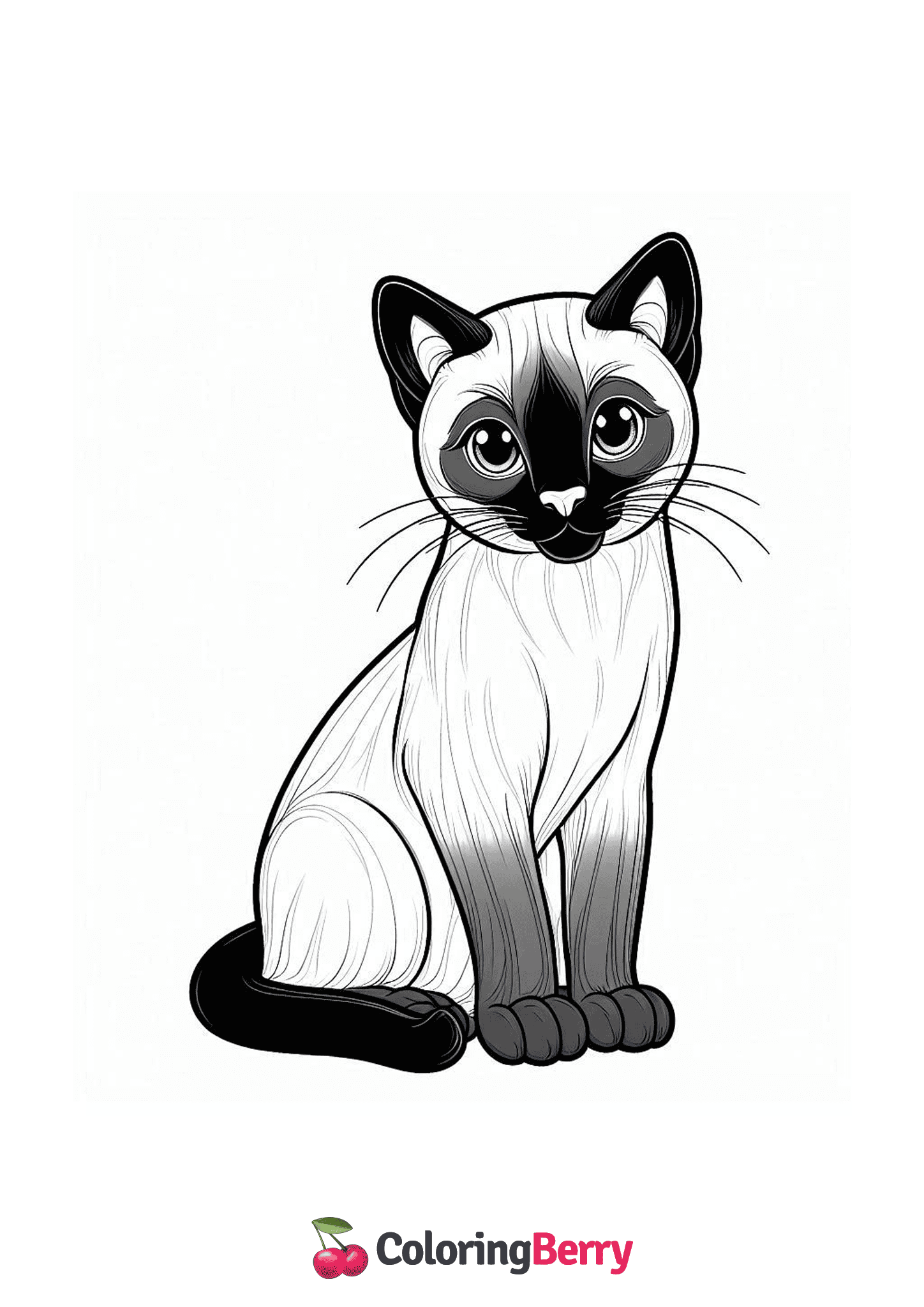 Siamese Cat