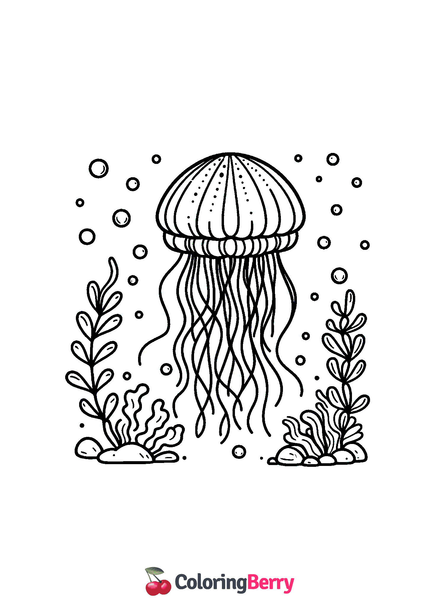 Simple Jellyfish