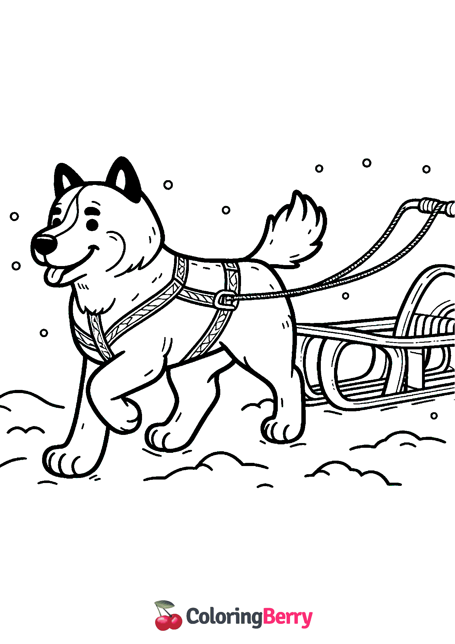 Sled Dog