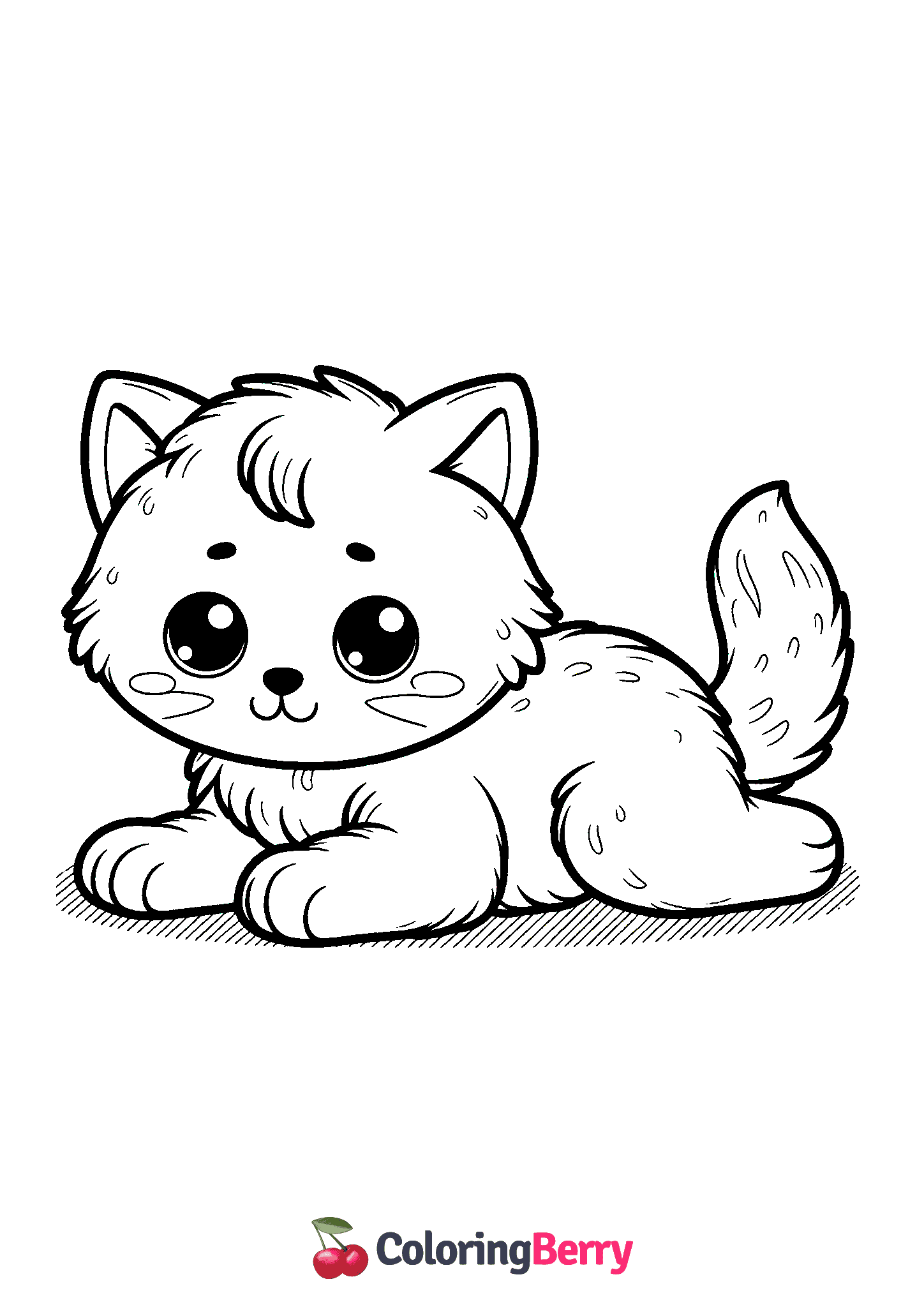 Small Cat