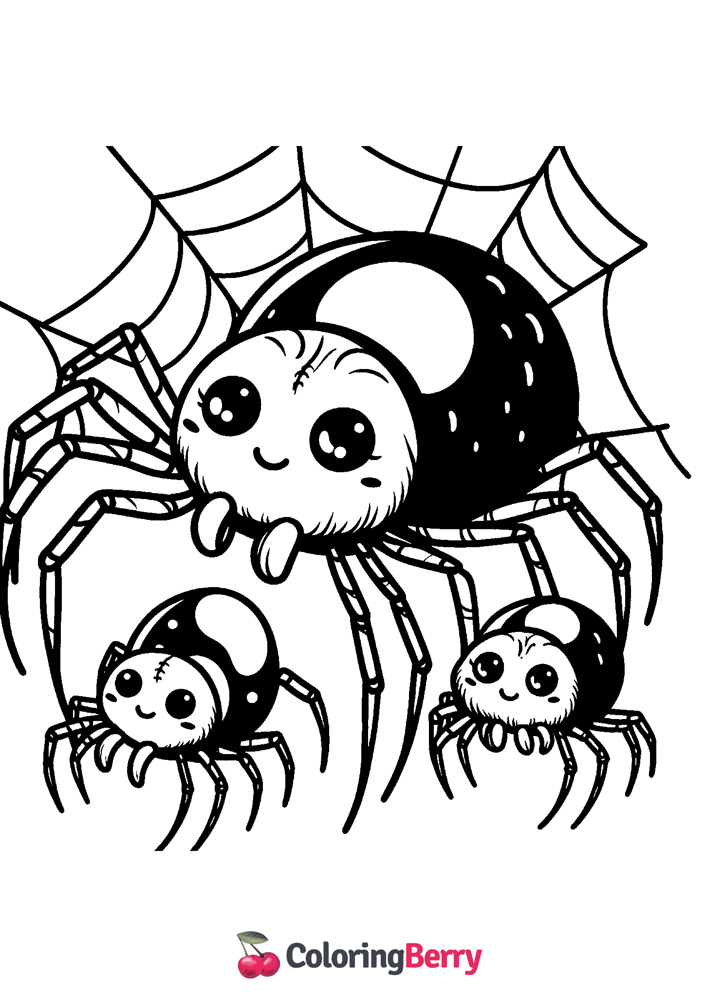 Spider Family