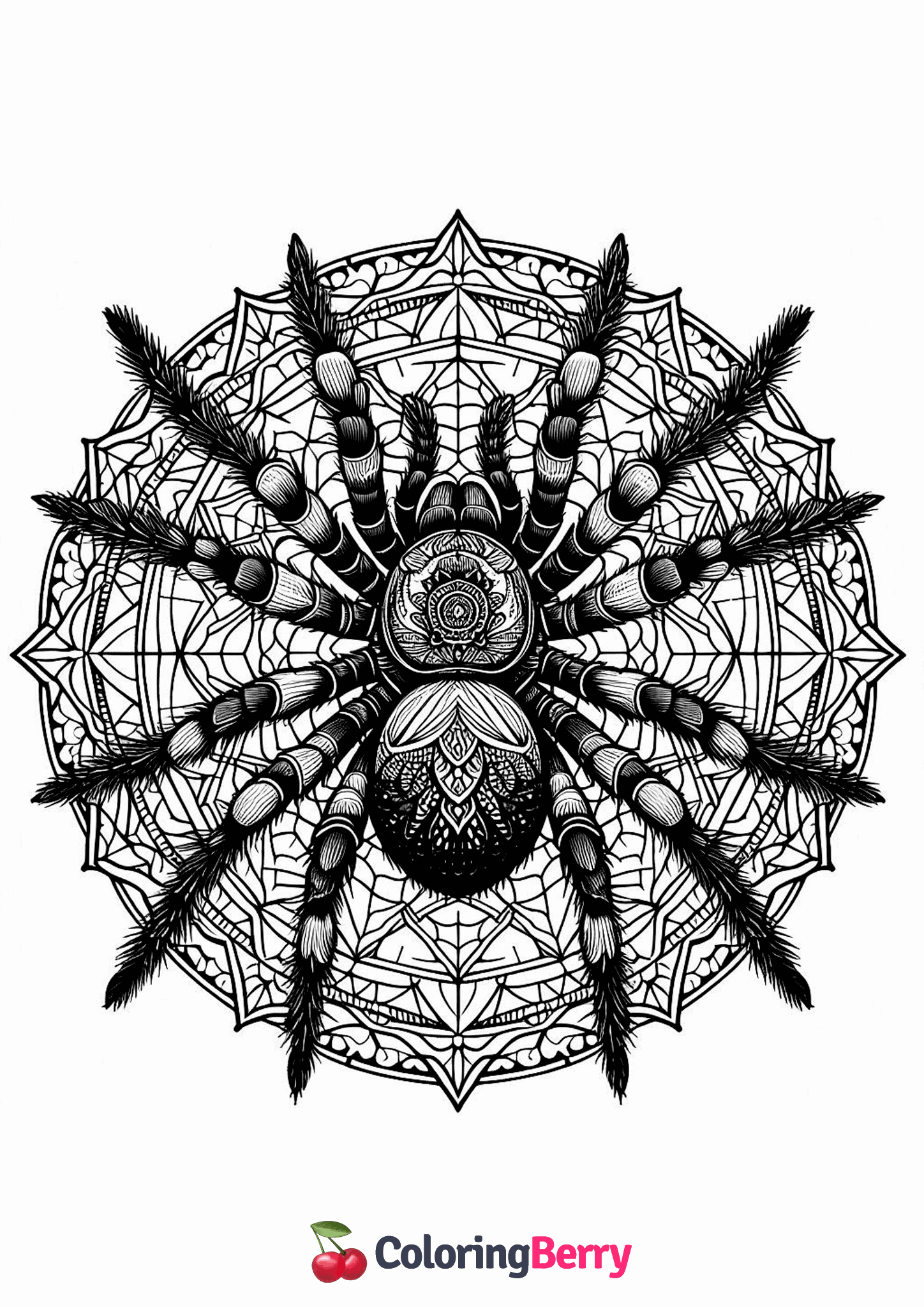 Spider Mandala