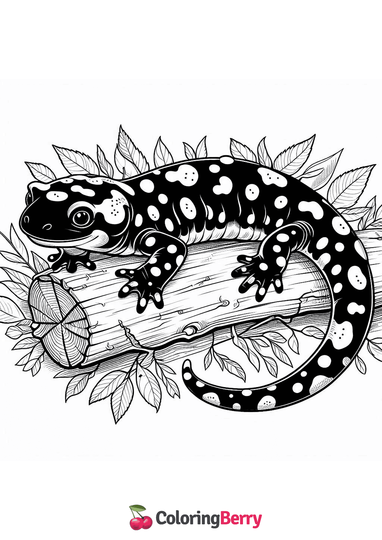 Spotted Salamander