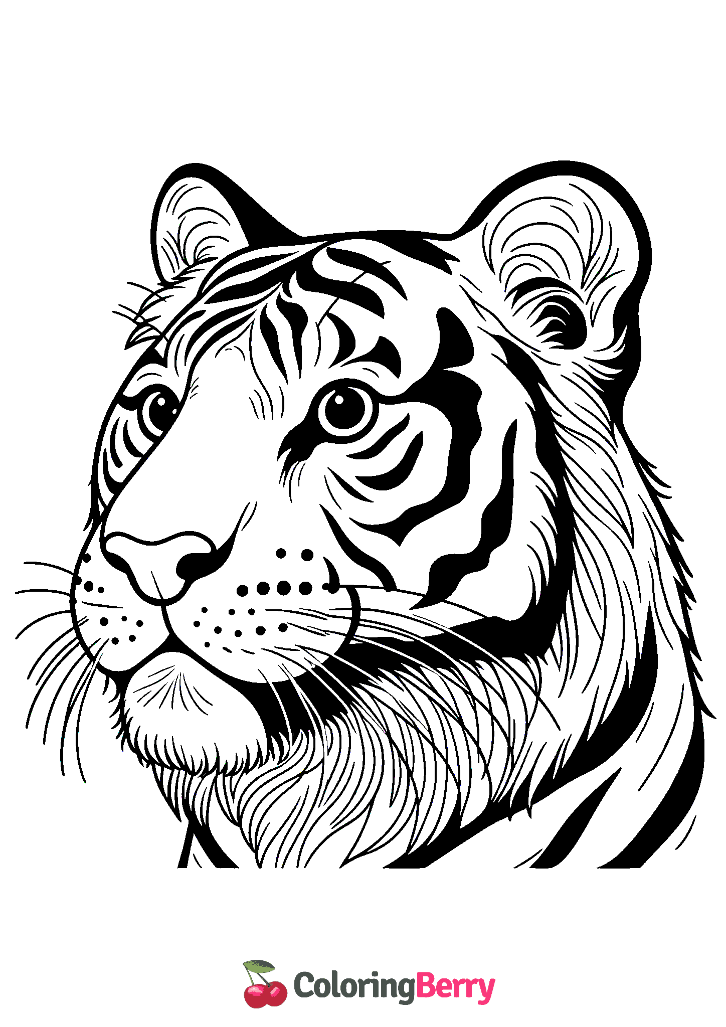 Tiger Head