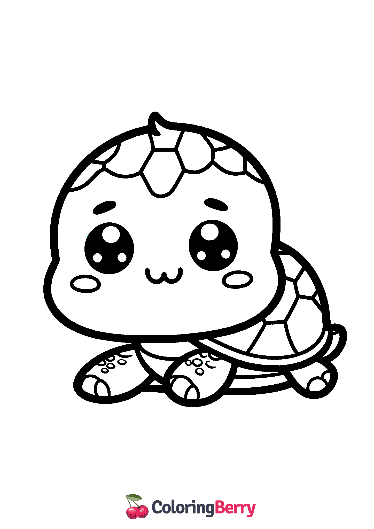 Turtle Cub