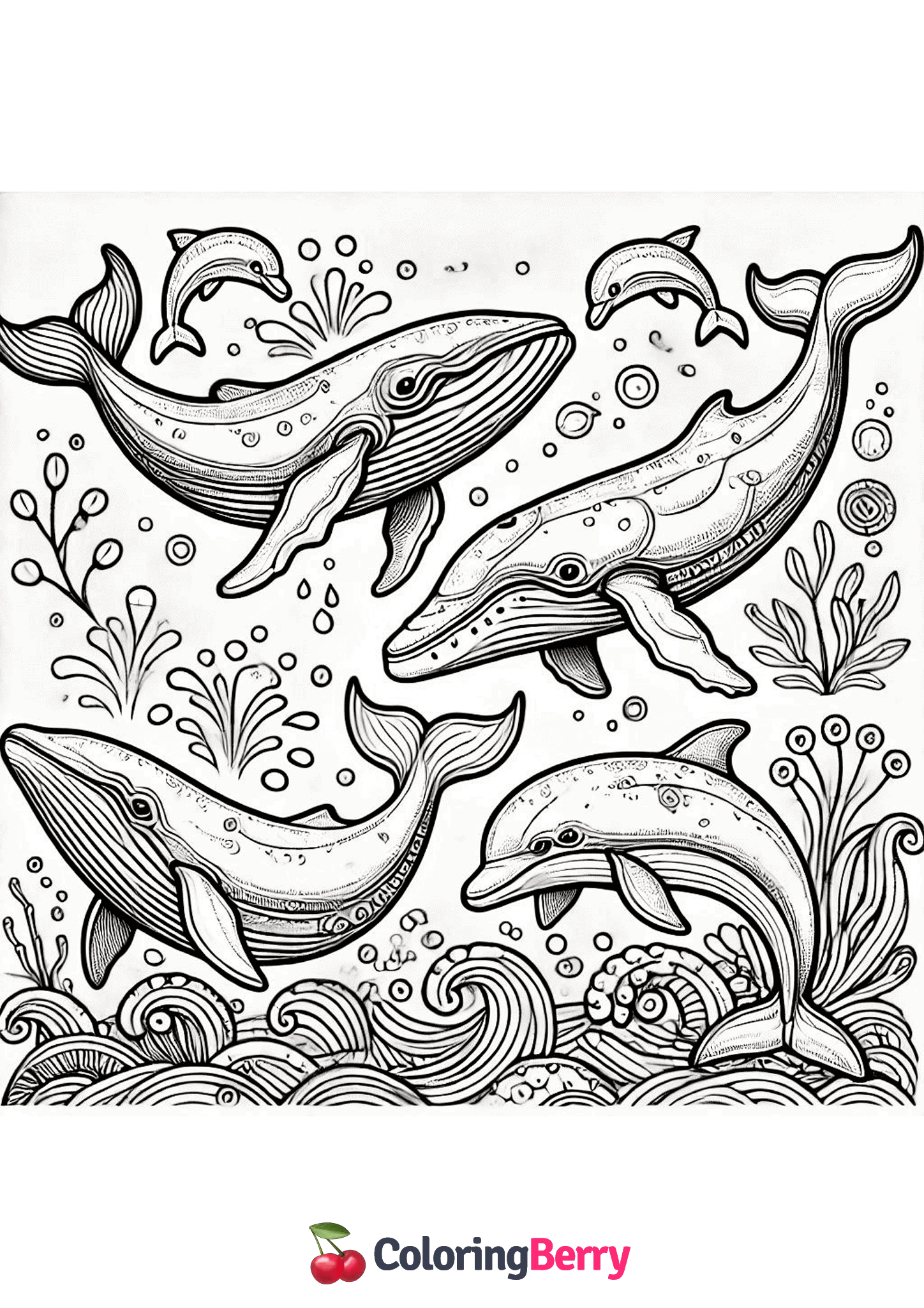 Whales and Dolphins