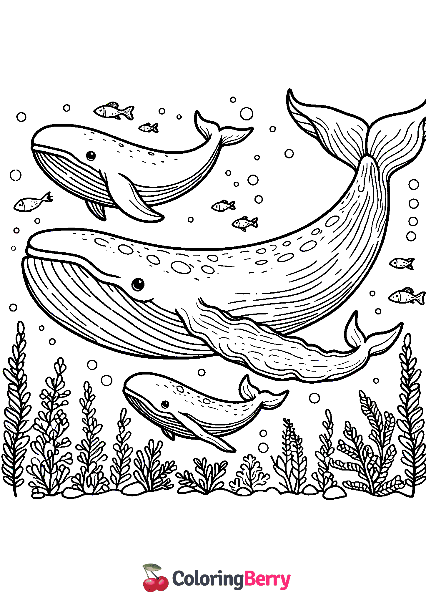 Whales